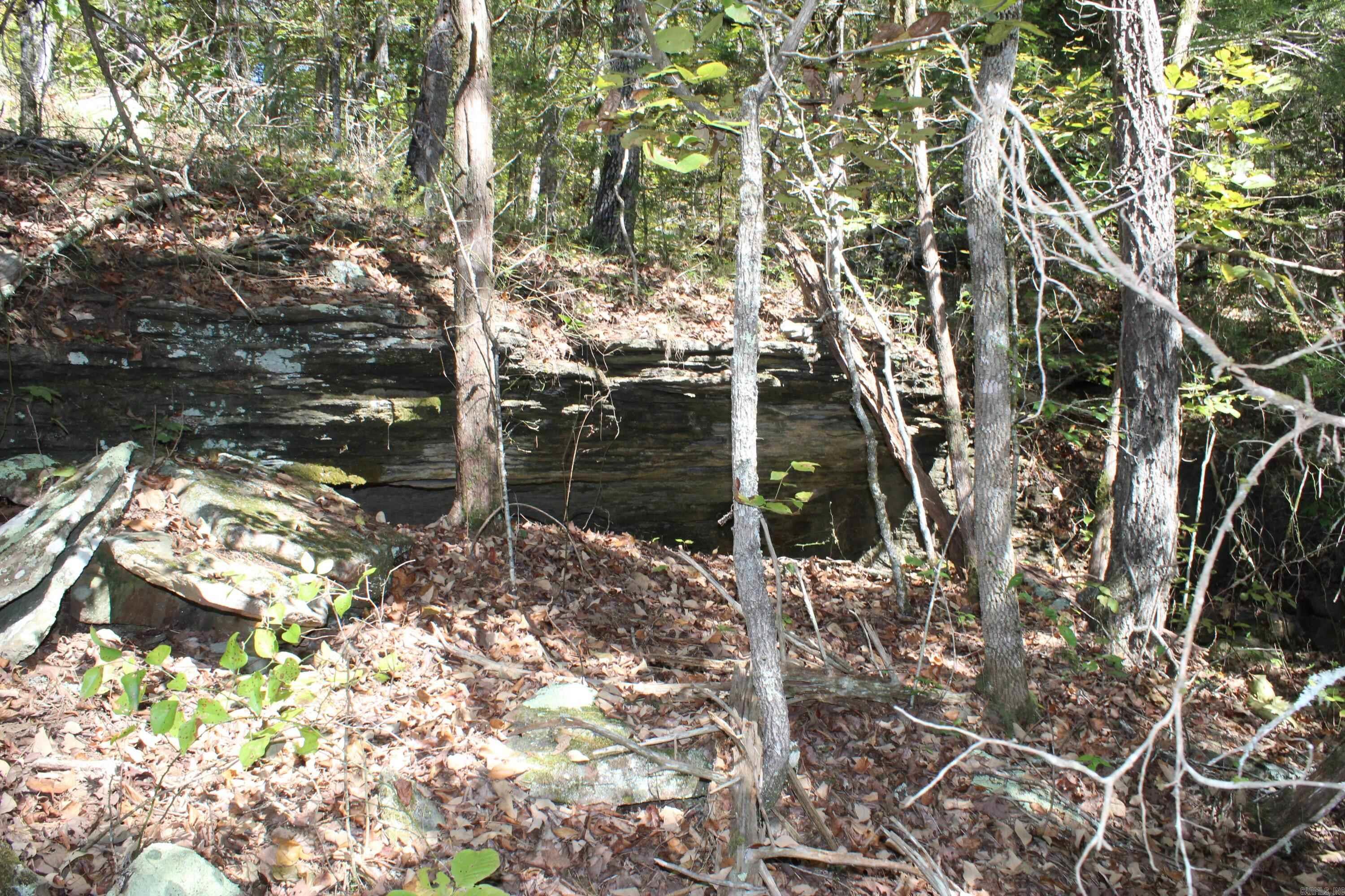 5354 Endline Road  Marshall, AR