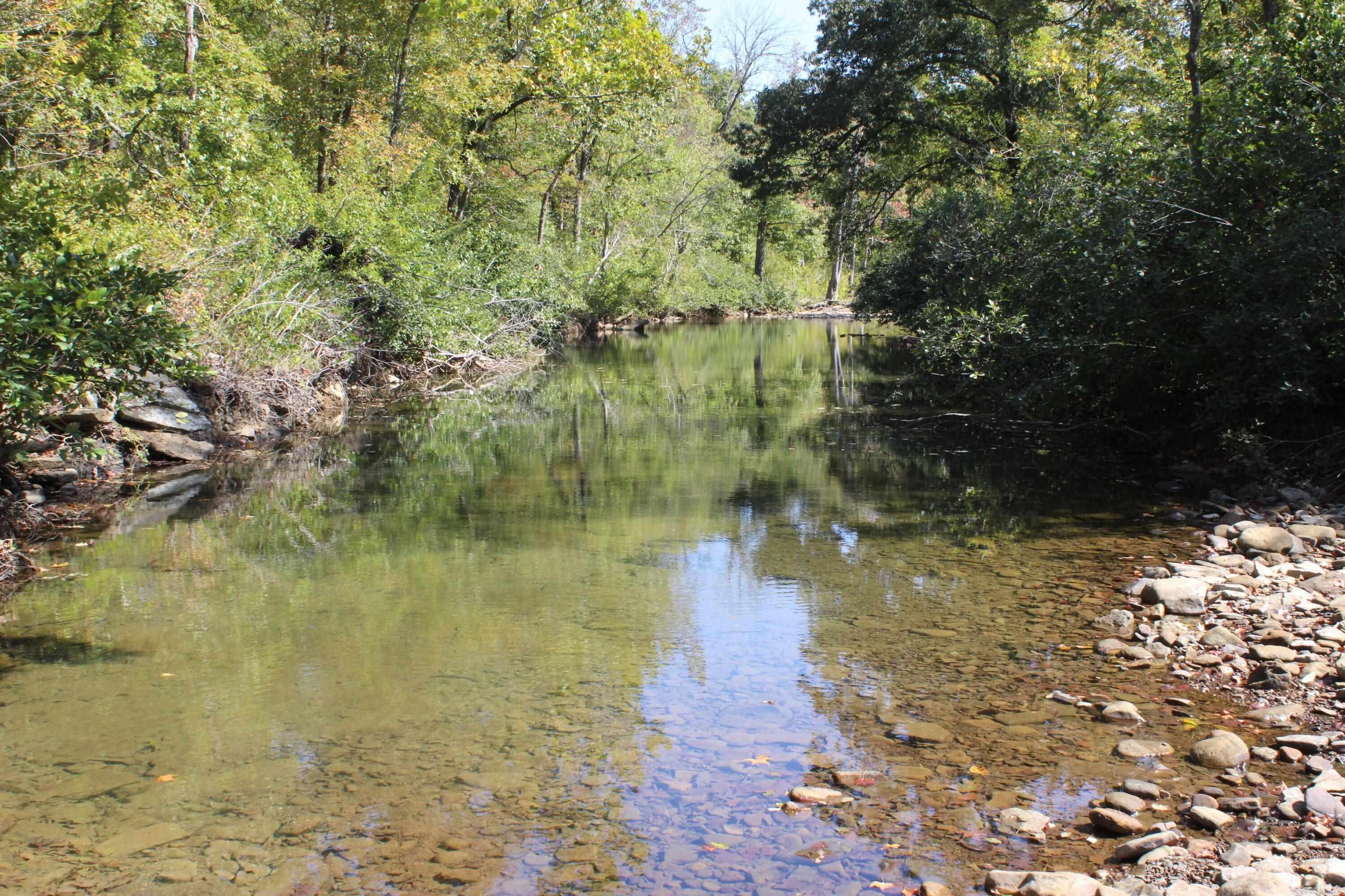 5354 Endline Road  Marshall, AR