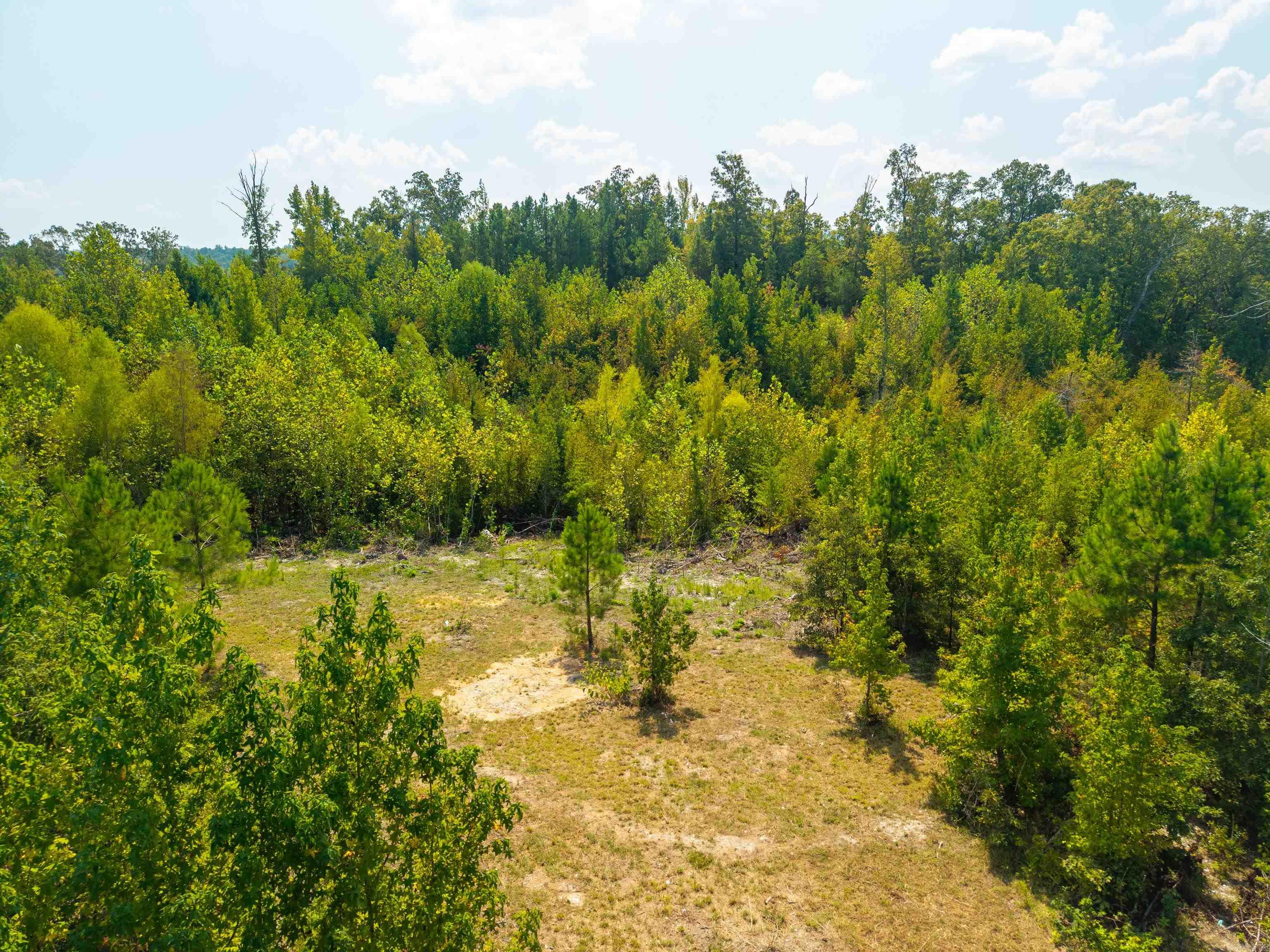 TBD Groundhog  Hot Springs, AR