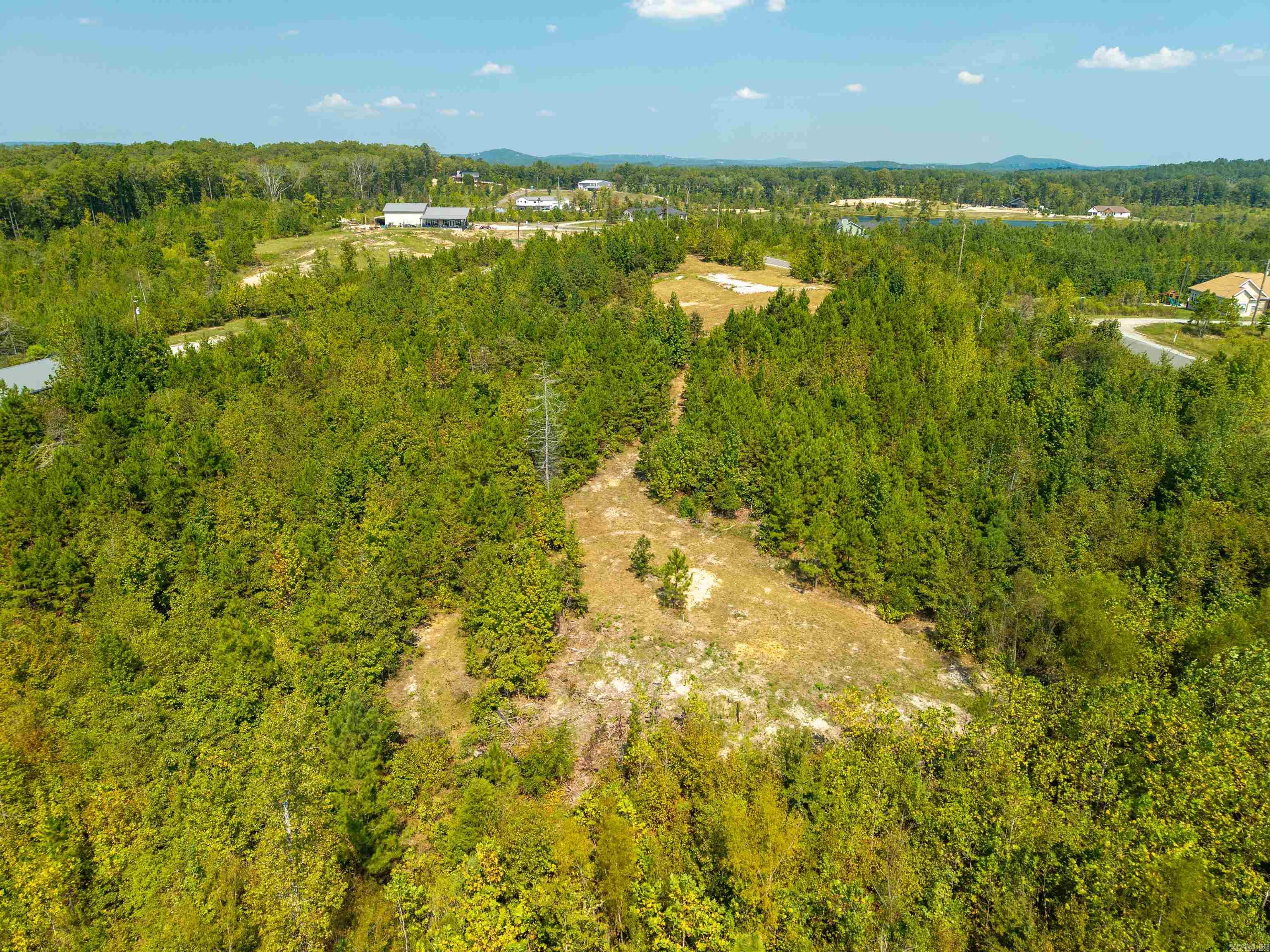 TBD Groundhog  Hot Springs, AR