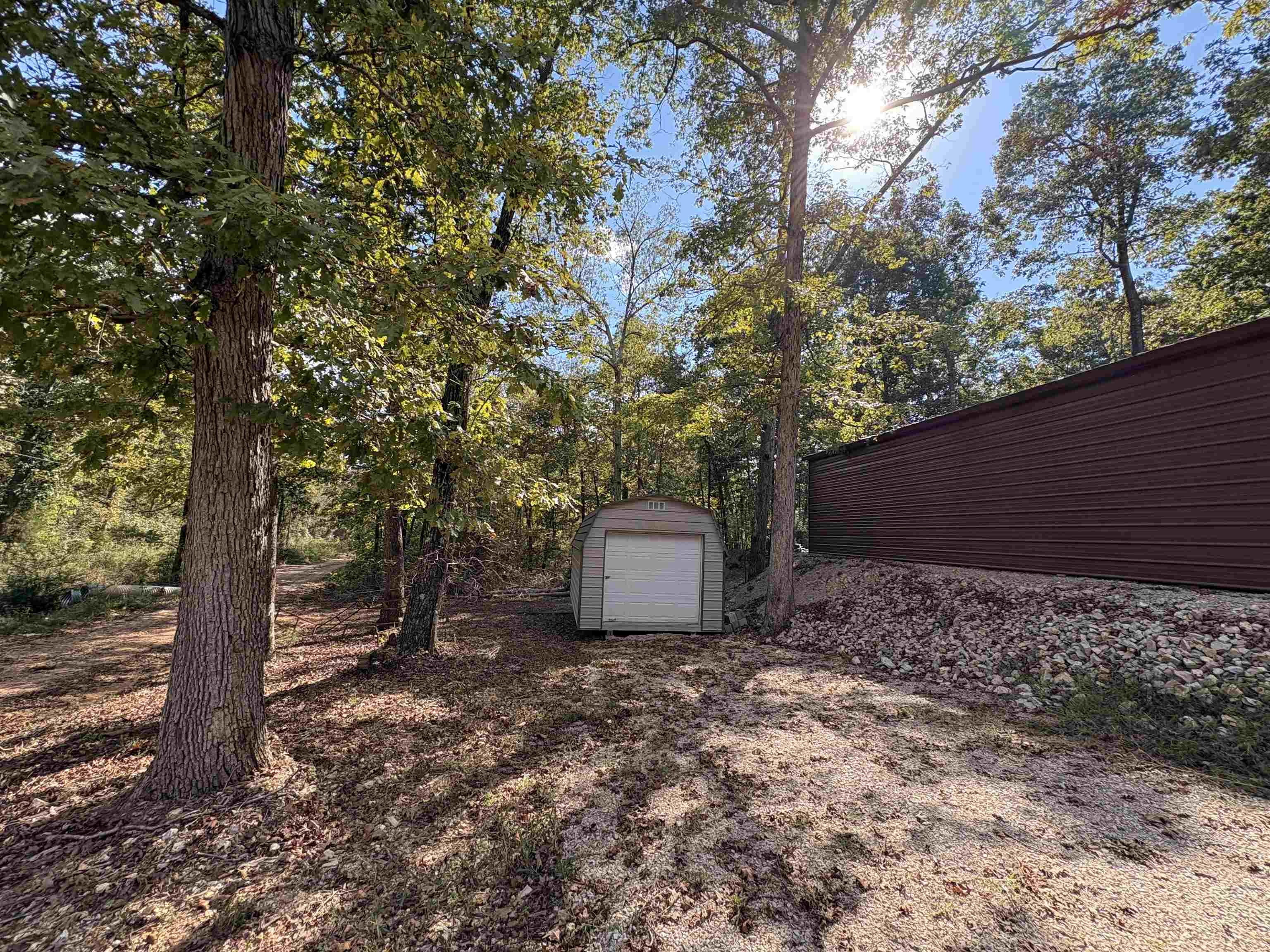 1 Deer  Williford, AR