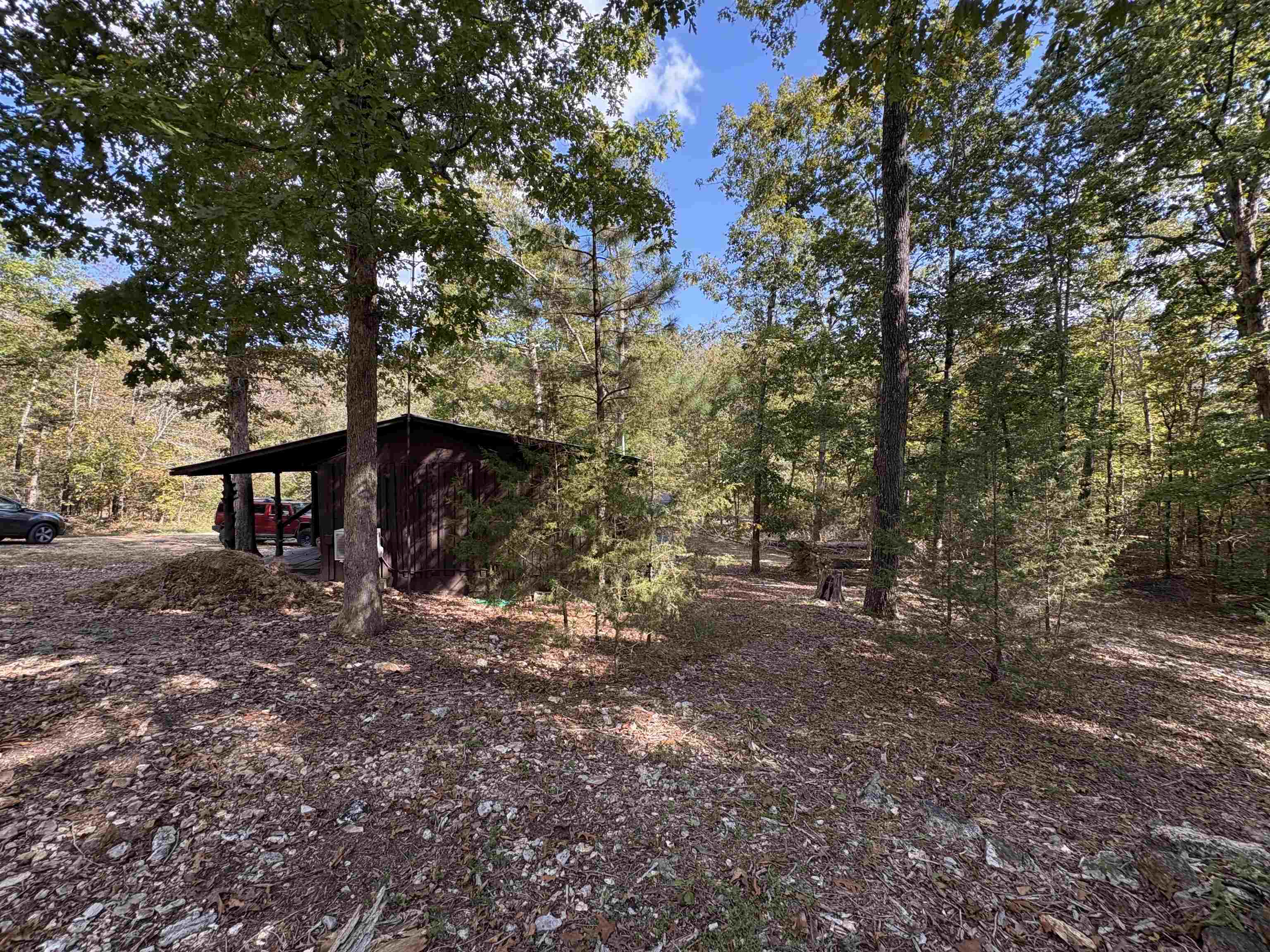 1 Deer  Williford, AR