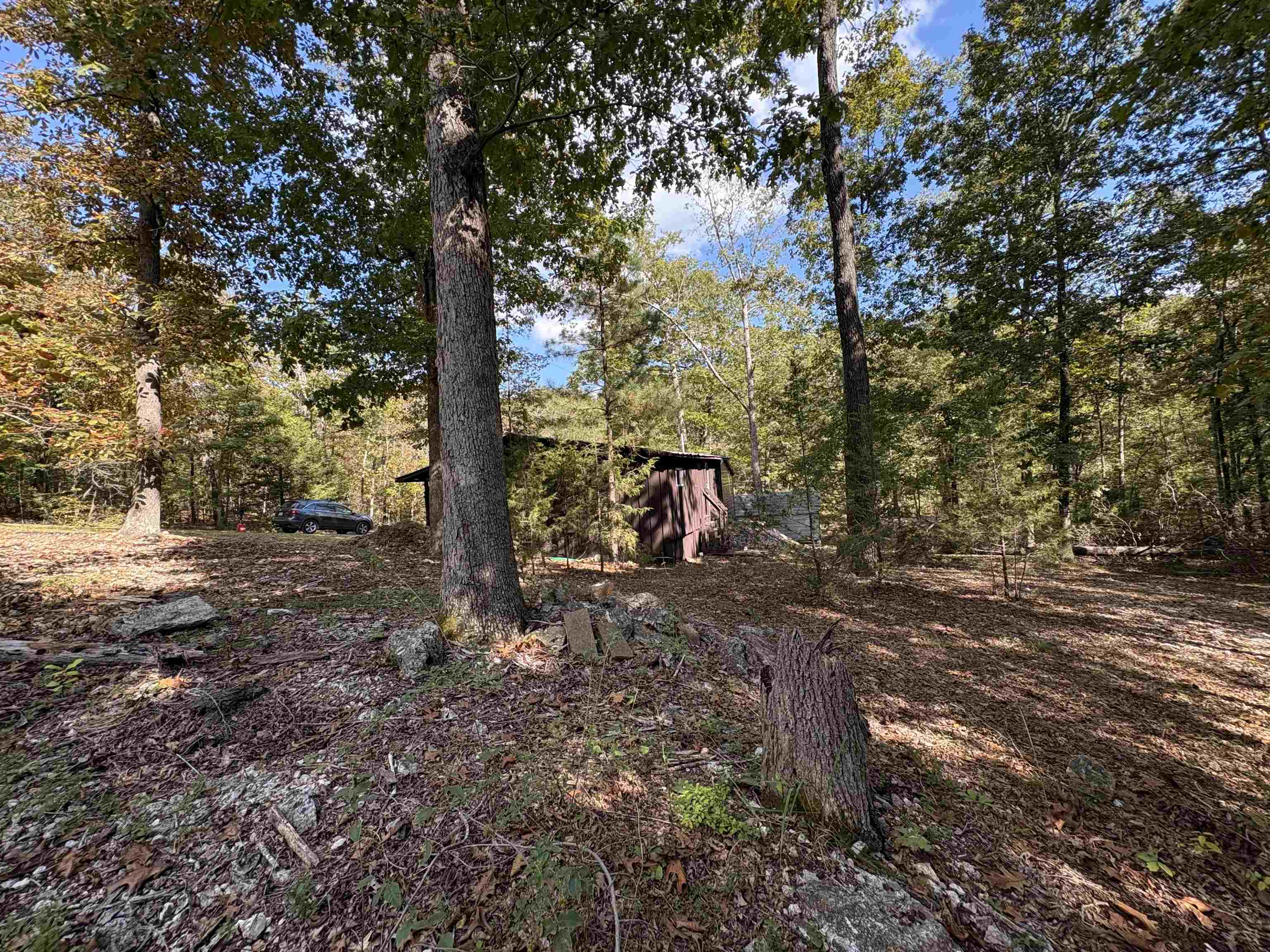 1 Deer  Williford, AR