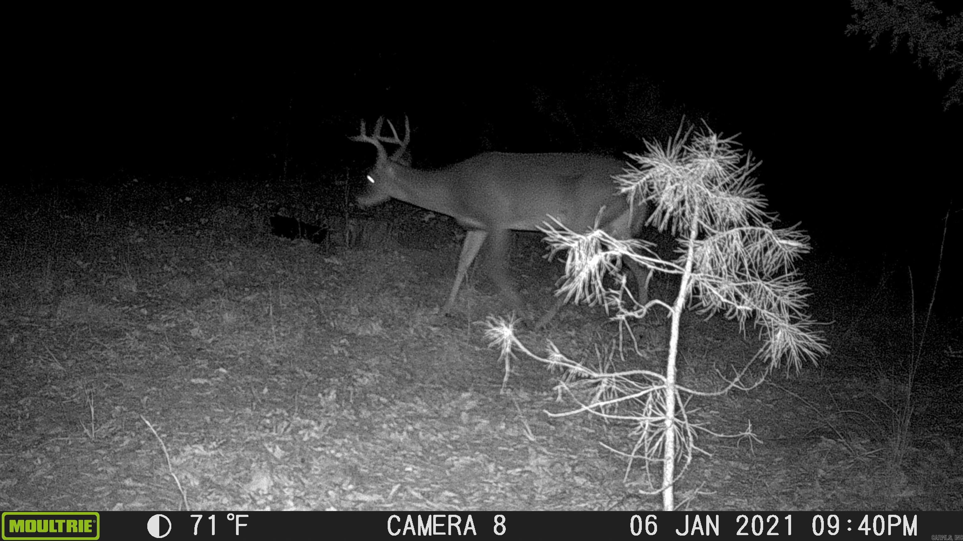 299 Foy Lane  Delaware, AR