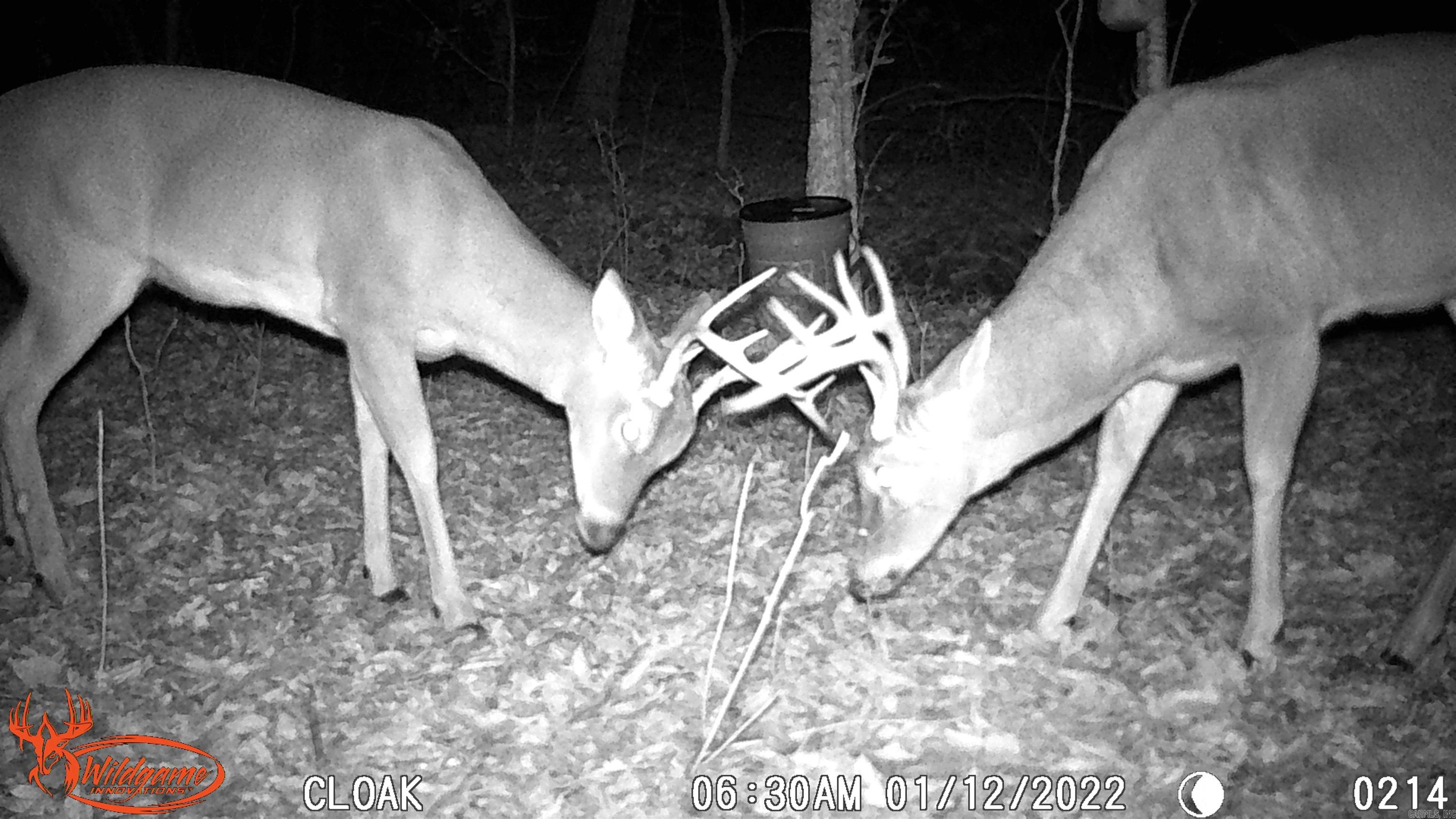 299 Foy Lane  Delaware, AR