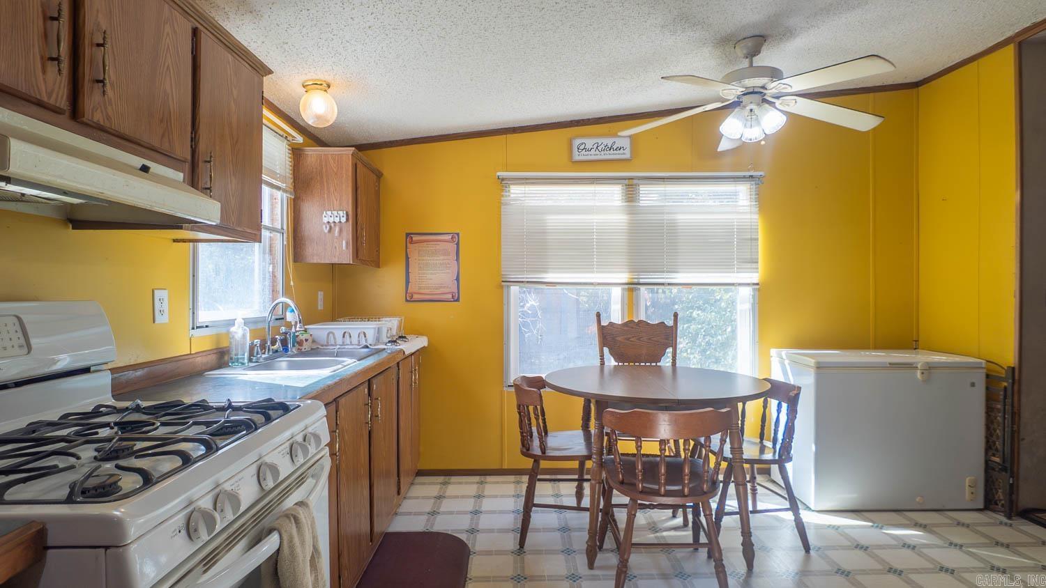 167 & 185 Timber Valley Road Mammoth Spring, AR 72554