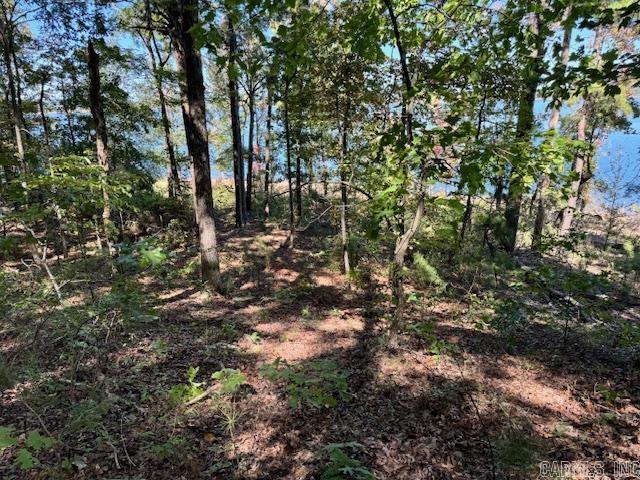 Lot 119 Lakefront  Quitman, AR