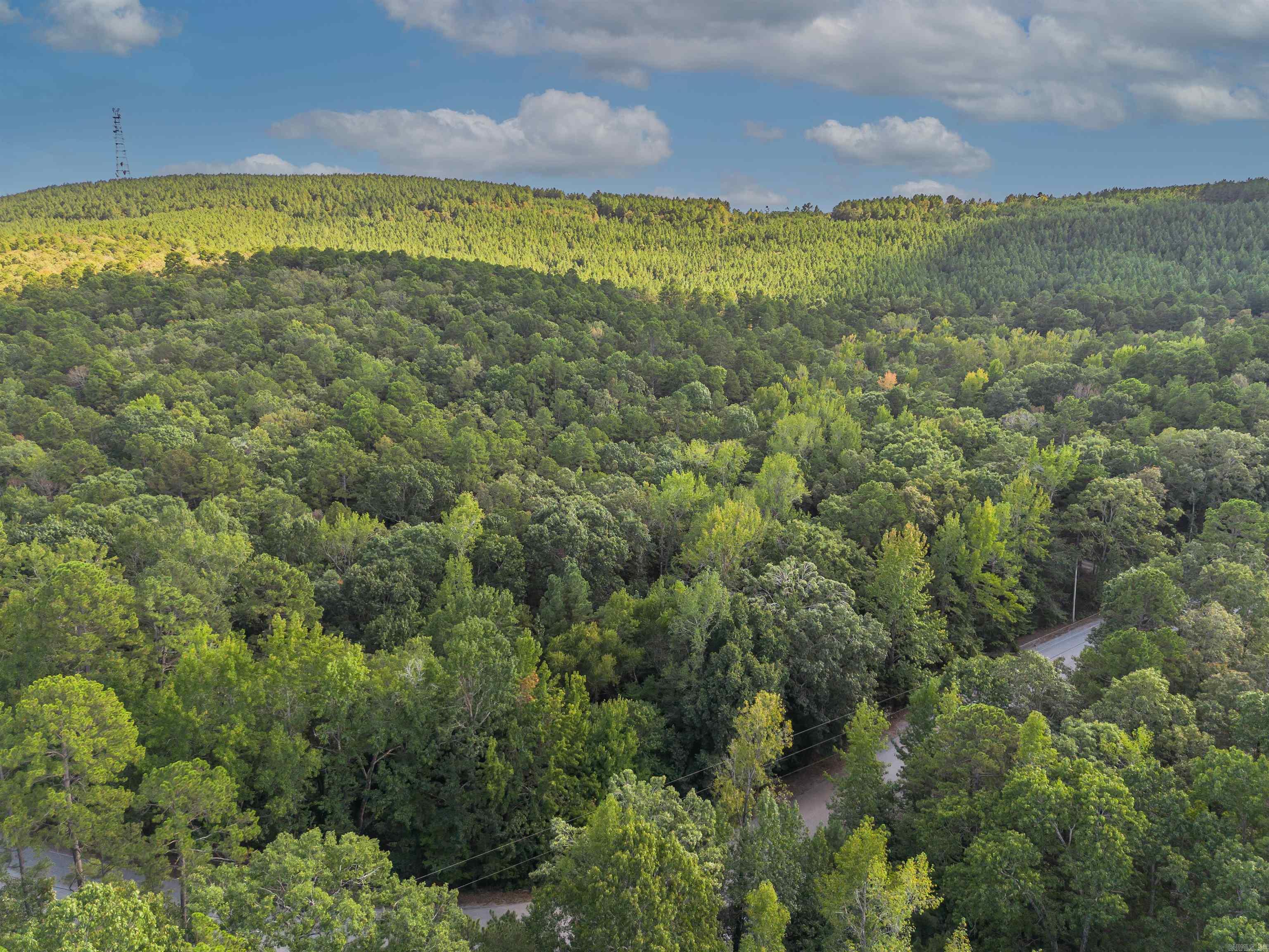 000 Dwight Little  Roland, AR