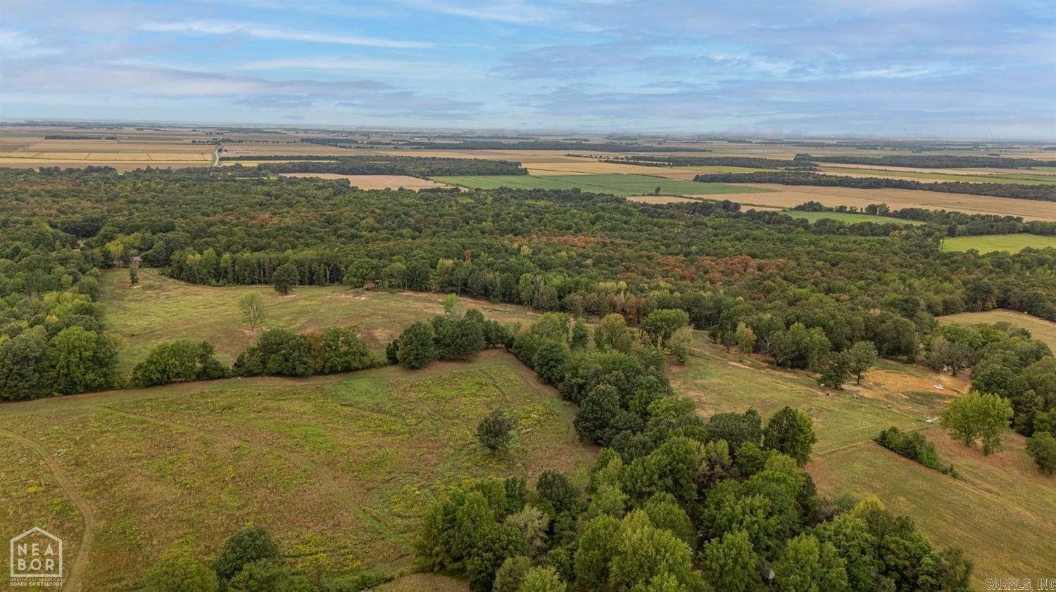 483 Greene 324 Rd  Jonesboro, AR