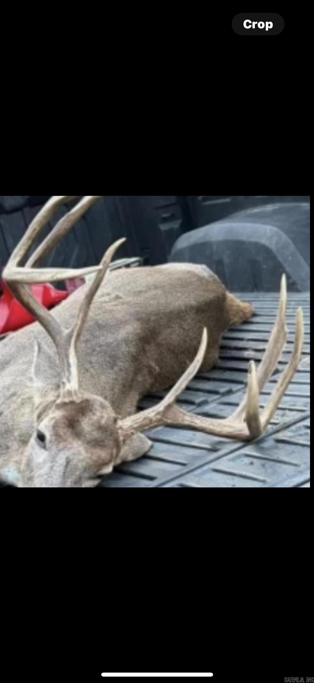 TBD BRADLEY 351  Johnsville, AR