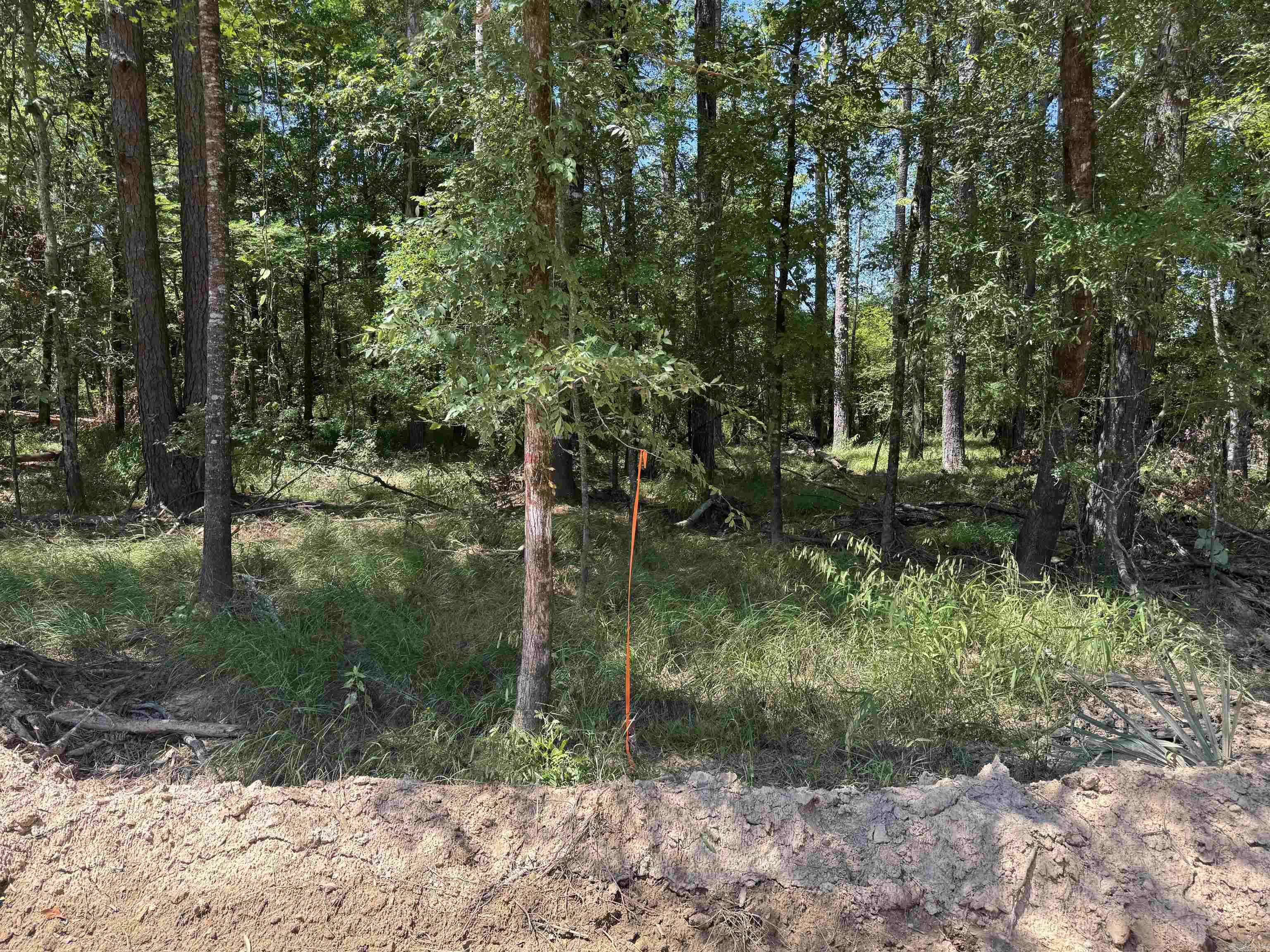 TBD BRADLEY 351  Johnsville, AR