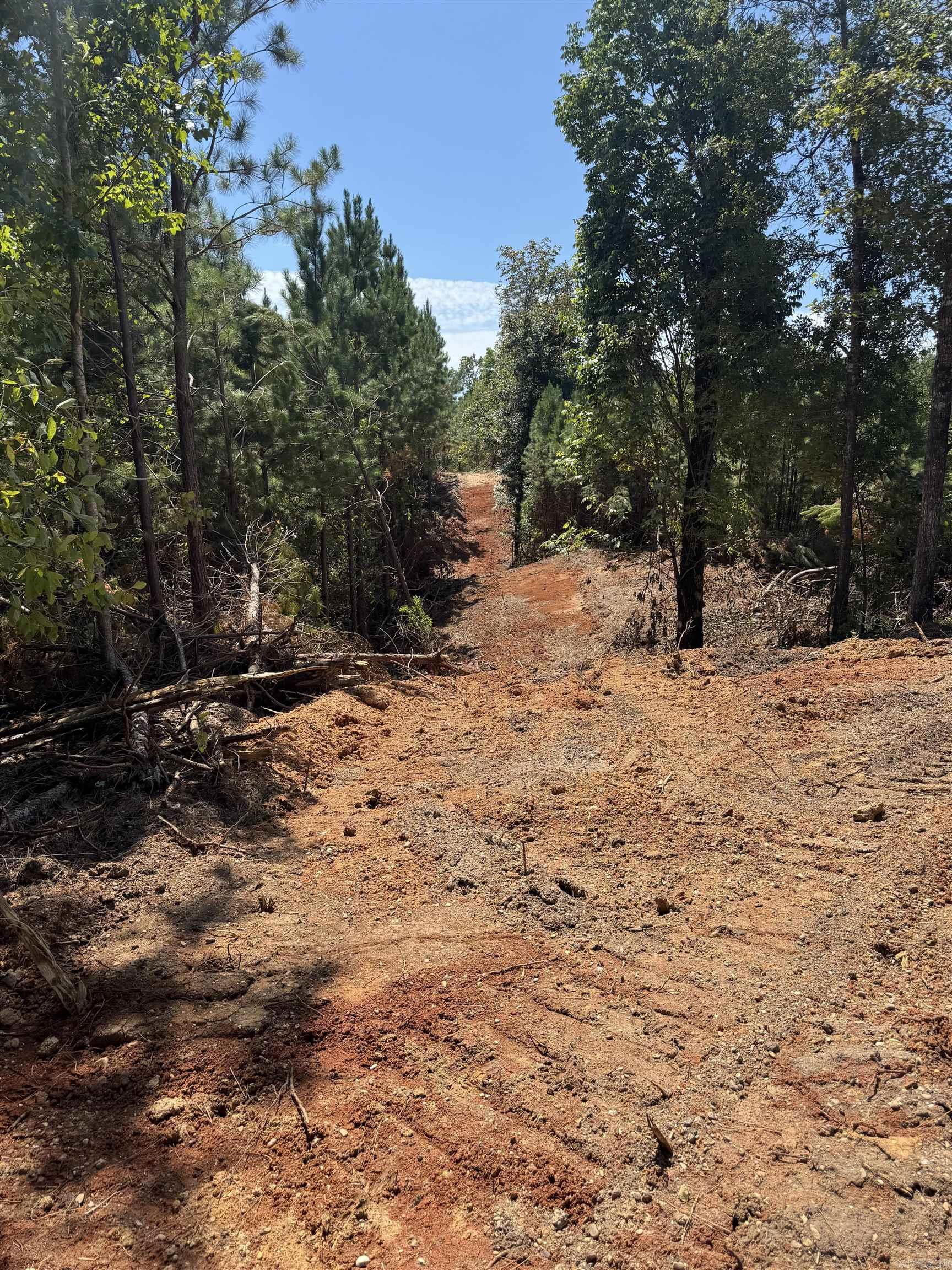 TBD BRADLEY 351  Johnsville, AR