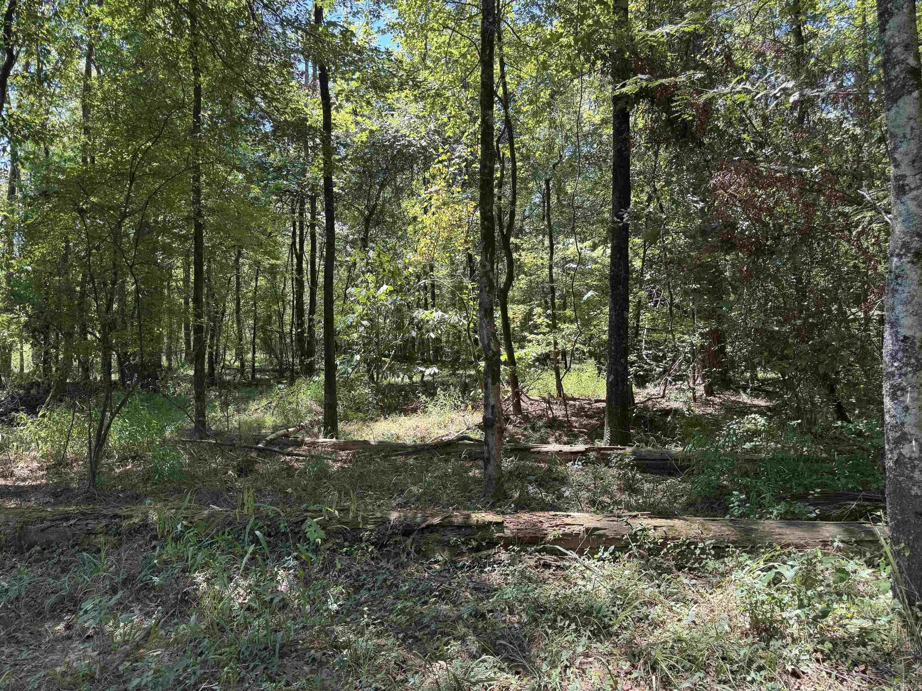 TBD BRADLEY 351  Johnsville, AR