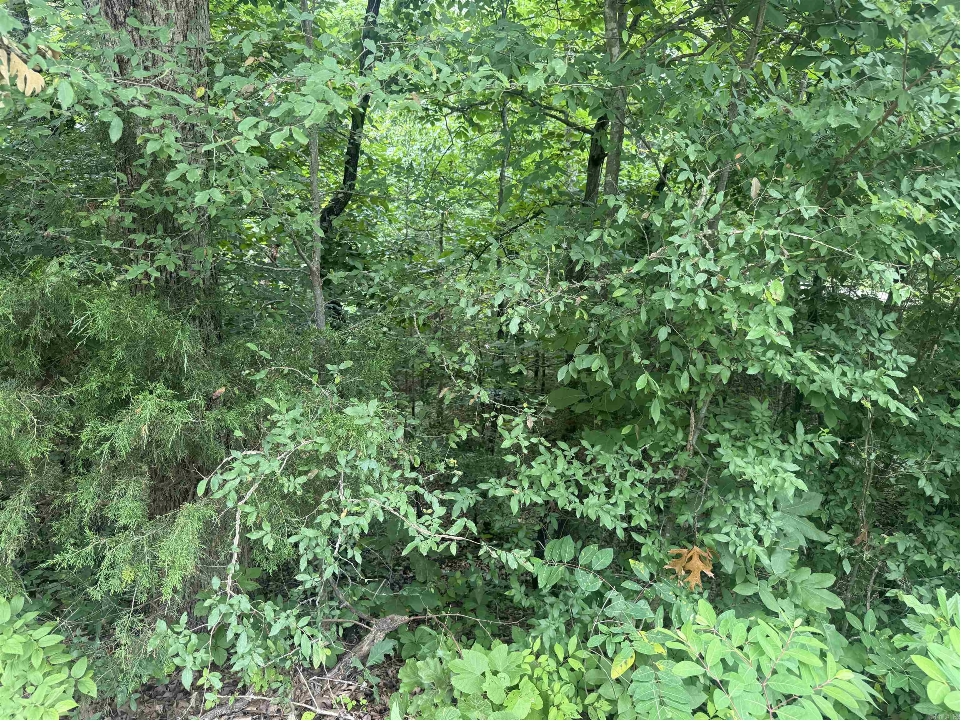 000 Iroquois  Cherokee Village, AR