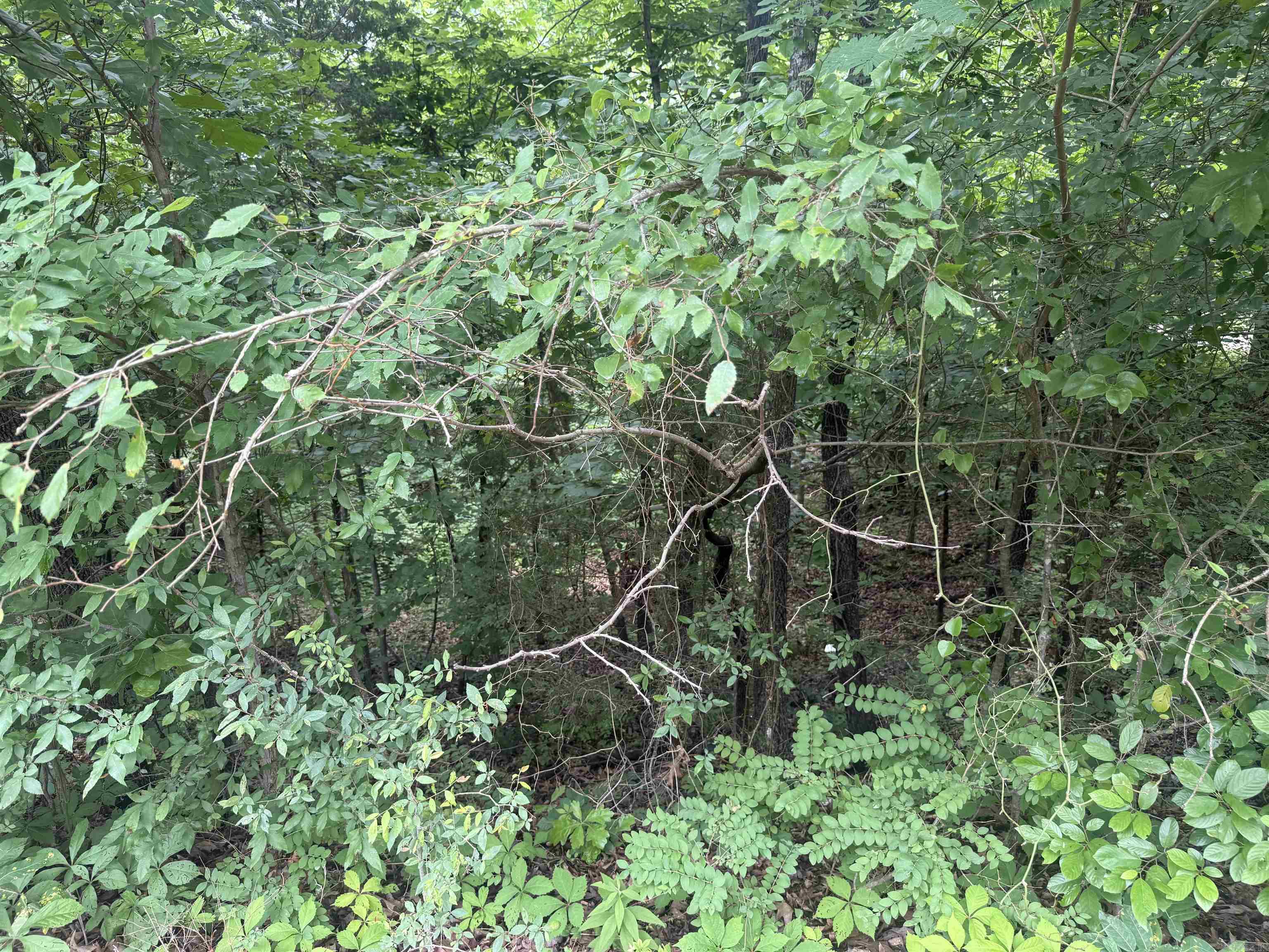 000 Iroquois  Cherokee Village, AR