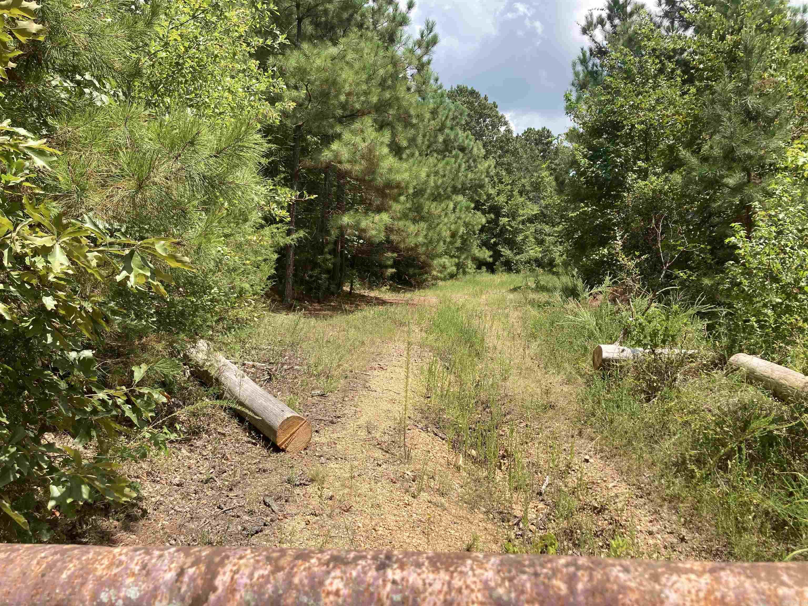 TBD Polk Road 31  Cove, AR