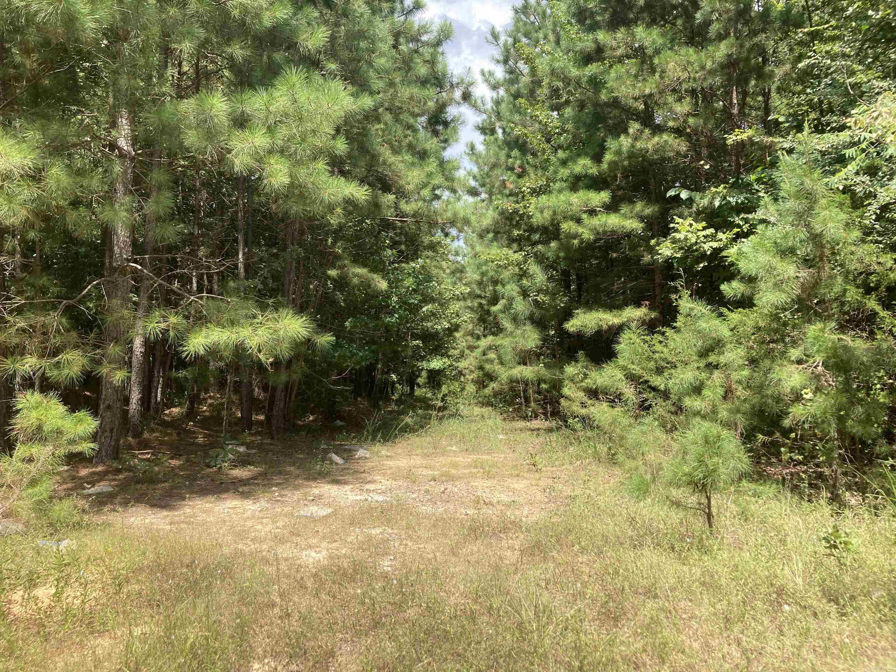 TBD Polk Road 31  Cove, AR