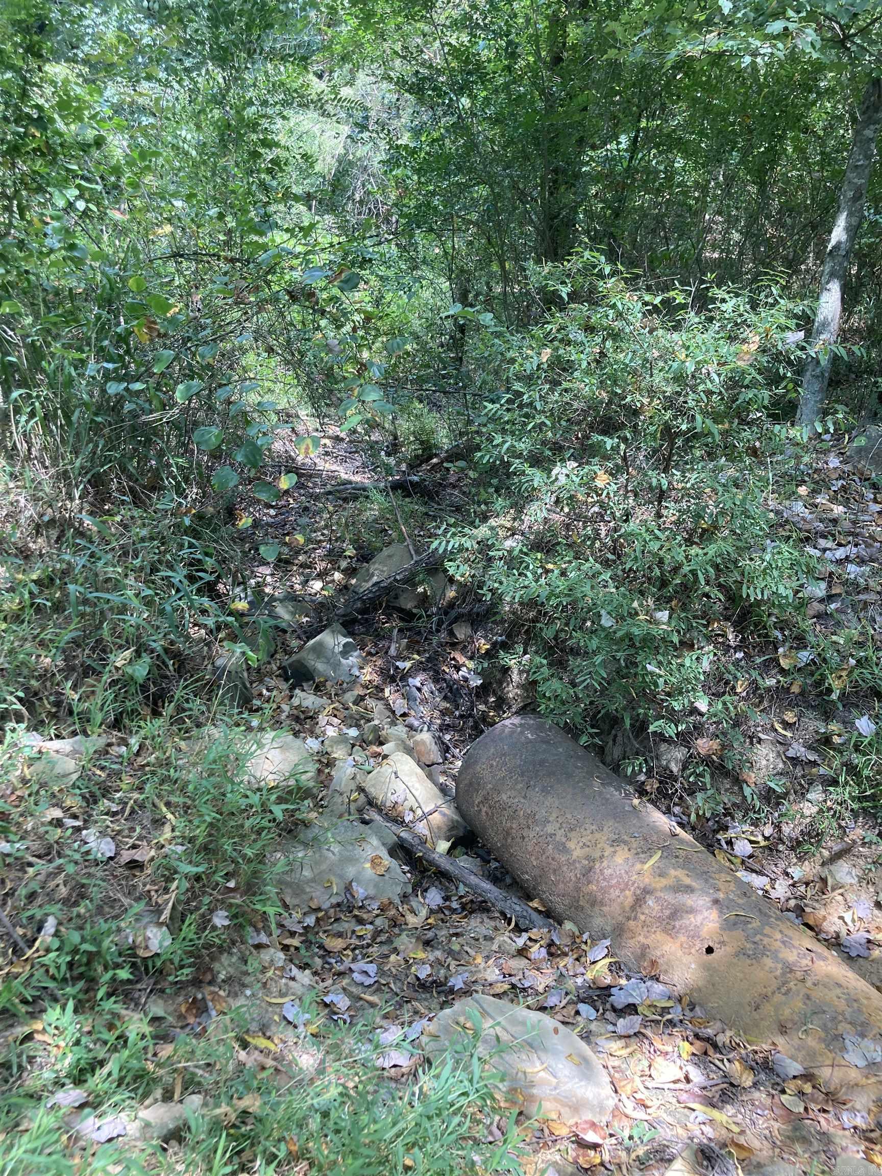 TBD Polk Road 31  Cove, AR