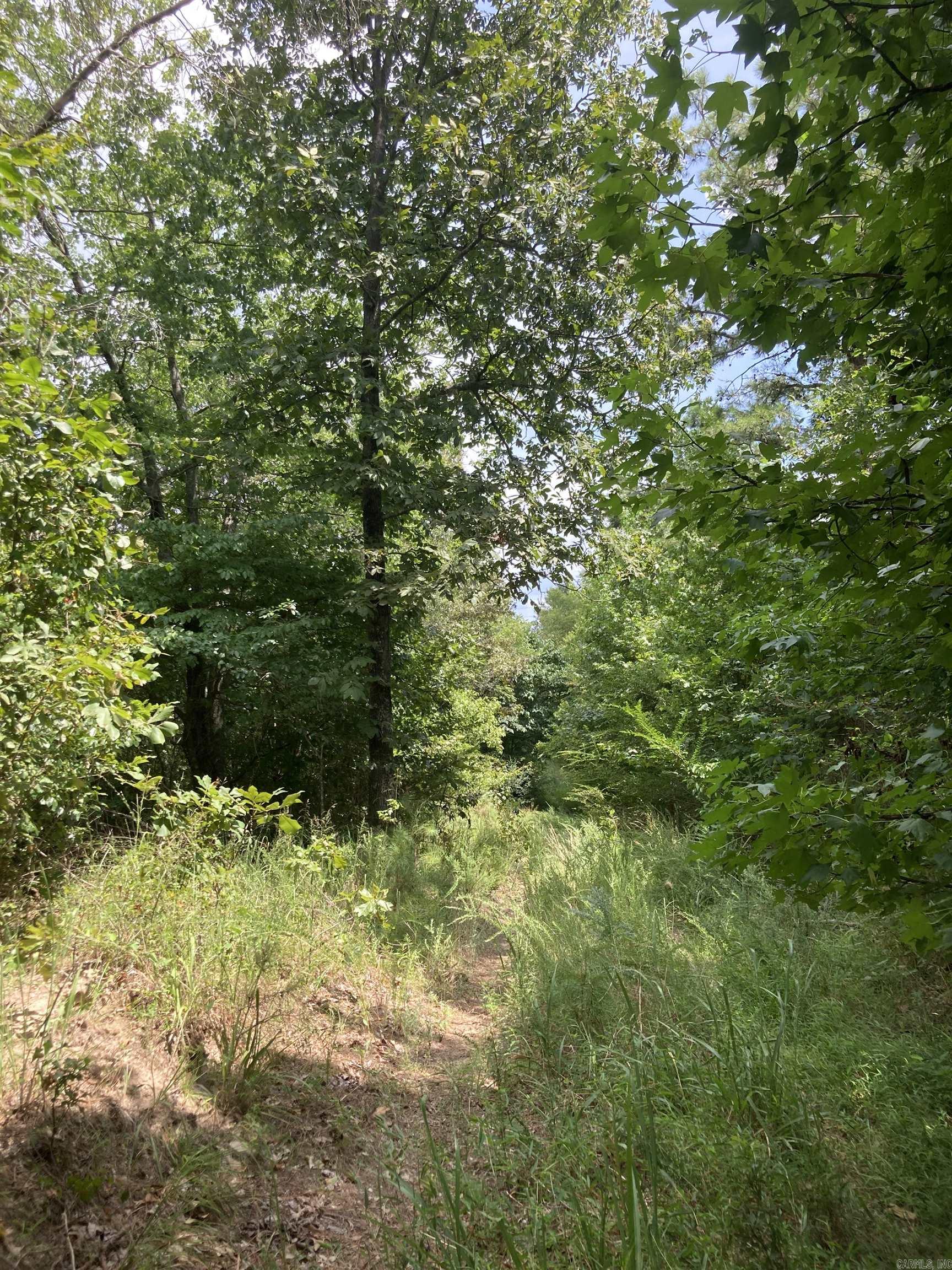 TBD Polk Road 31  Cove, AR