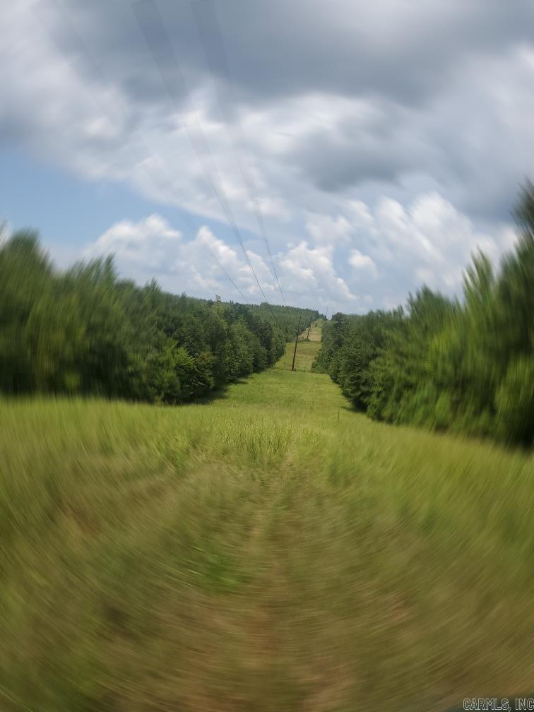 TBD Polk Road 31  Cove, AR
