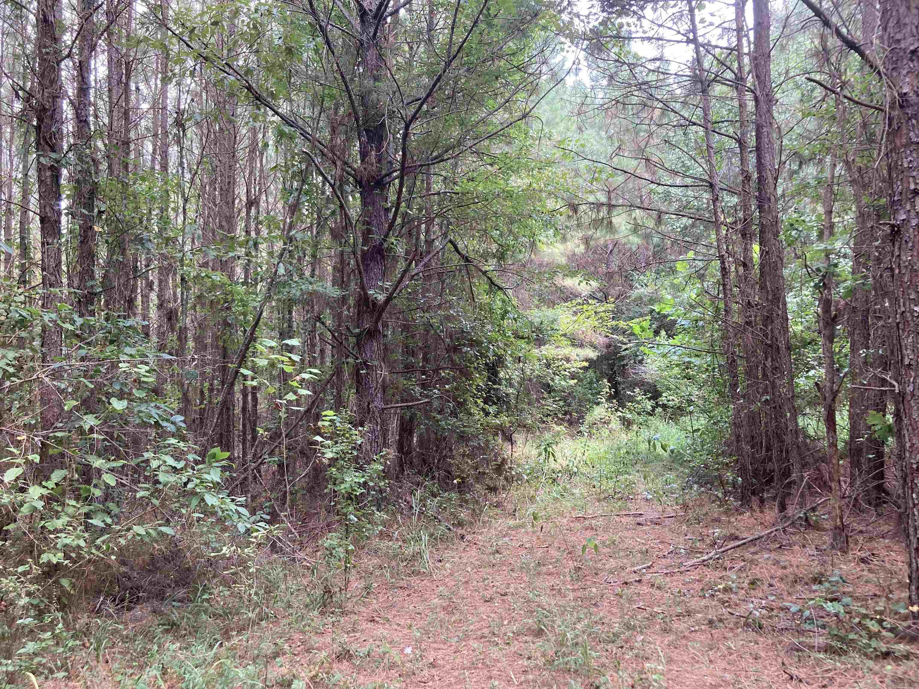 TBD Polk Road 31  Cove, AR