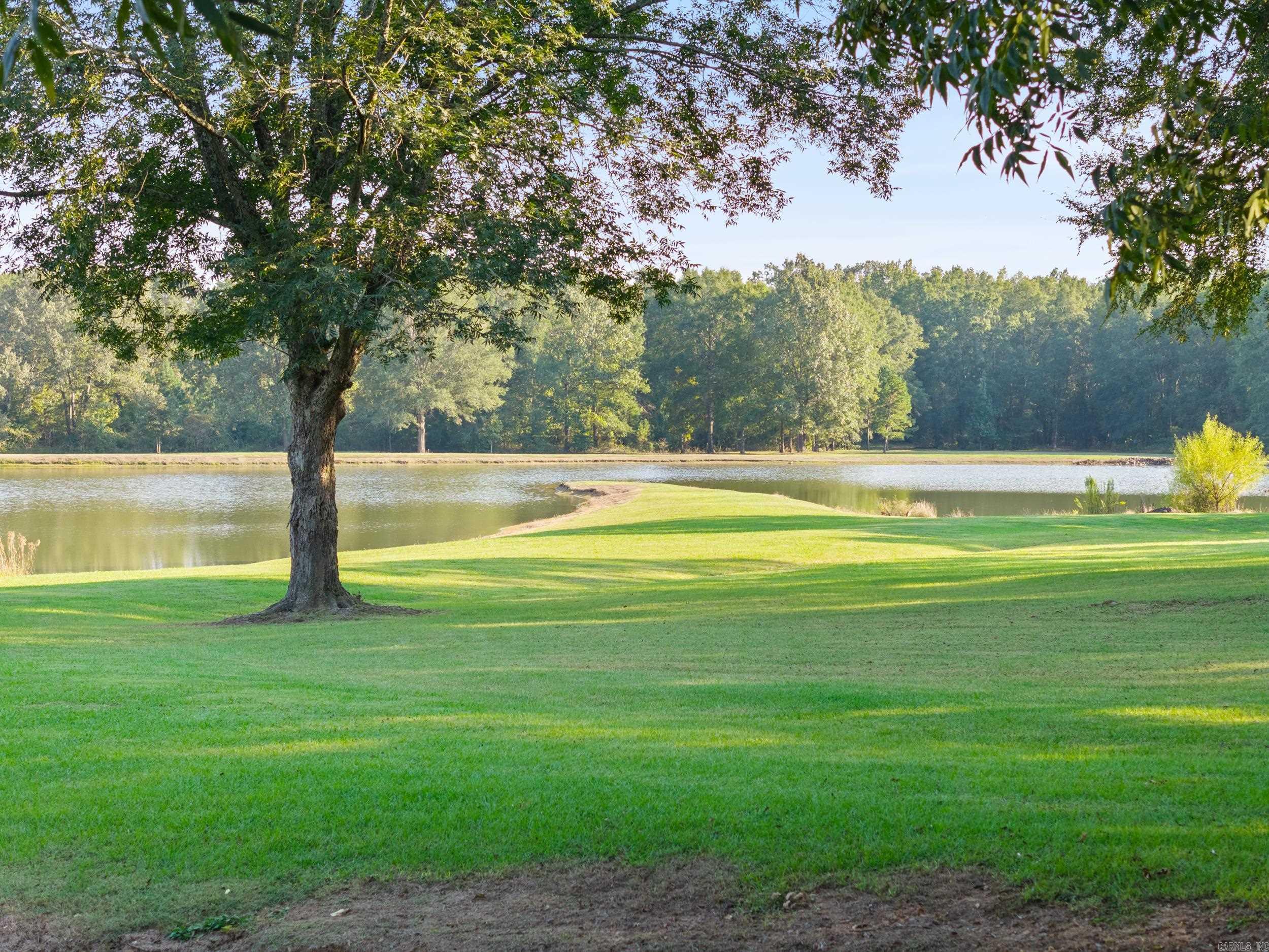 54 Terry Lynn  Perryville, AR