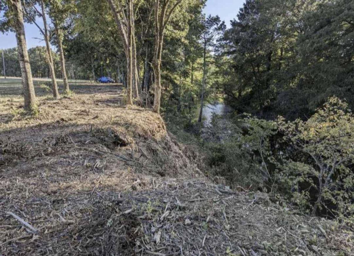 00 Sunshine Lane  Pangburn, AR