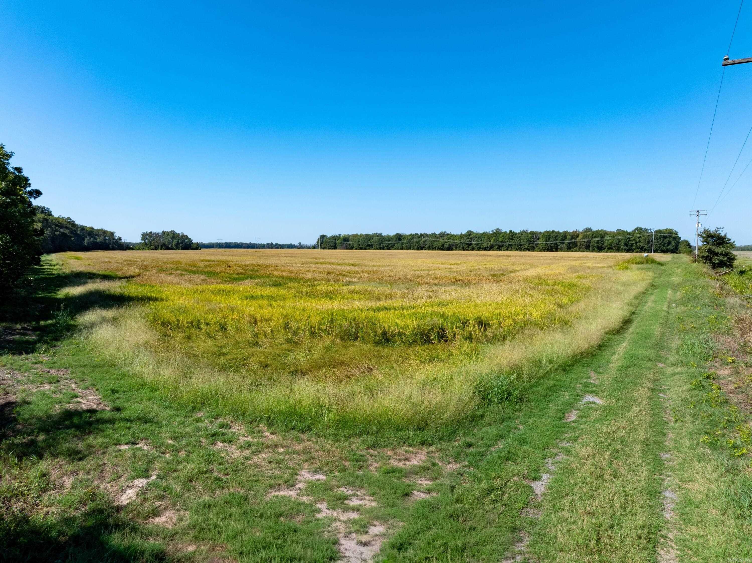 0 highway 367  Swifton, AR