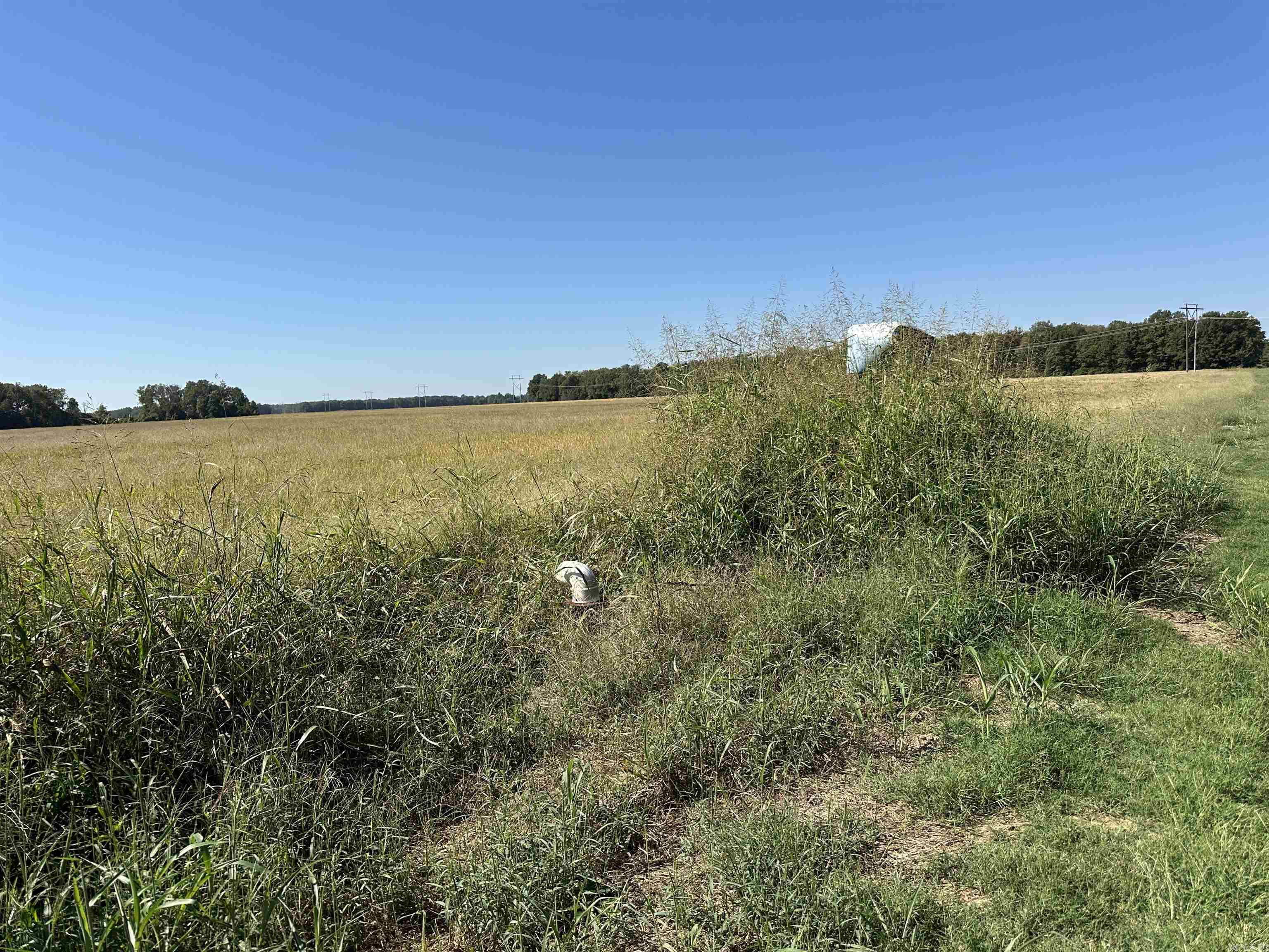 0 highway 367  Swifton, AR