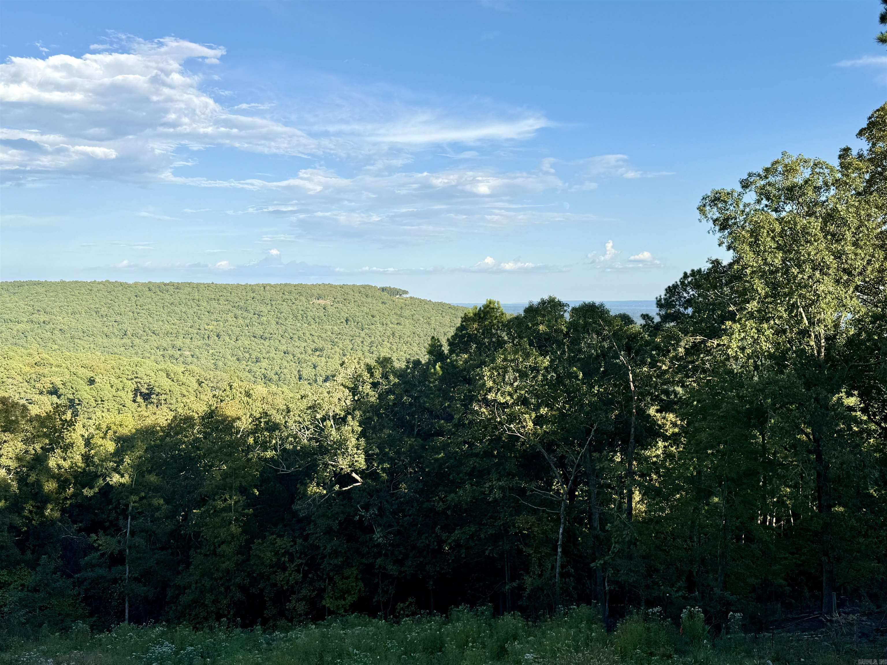 125 Chelsea #38  Fairfield Bay, AR