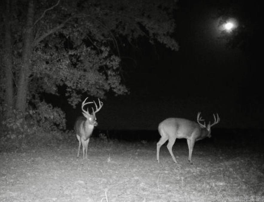 00 undisclosed  Bono, AR
