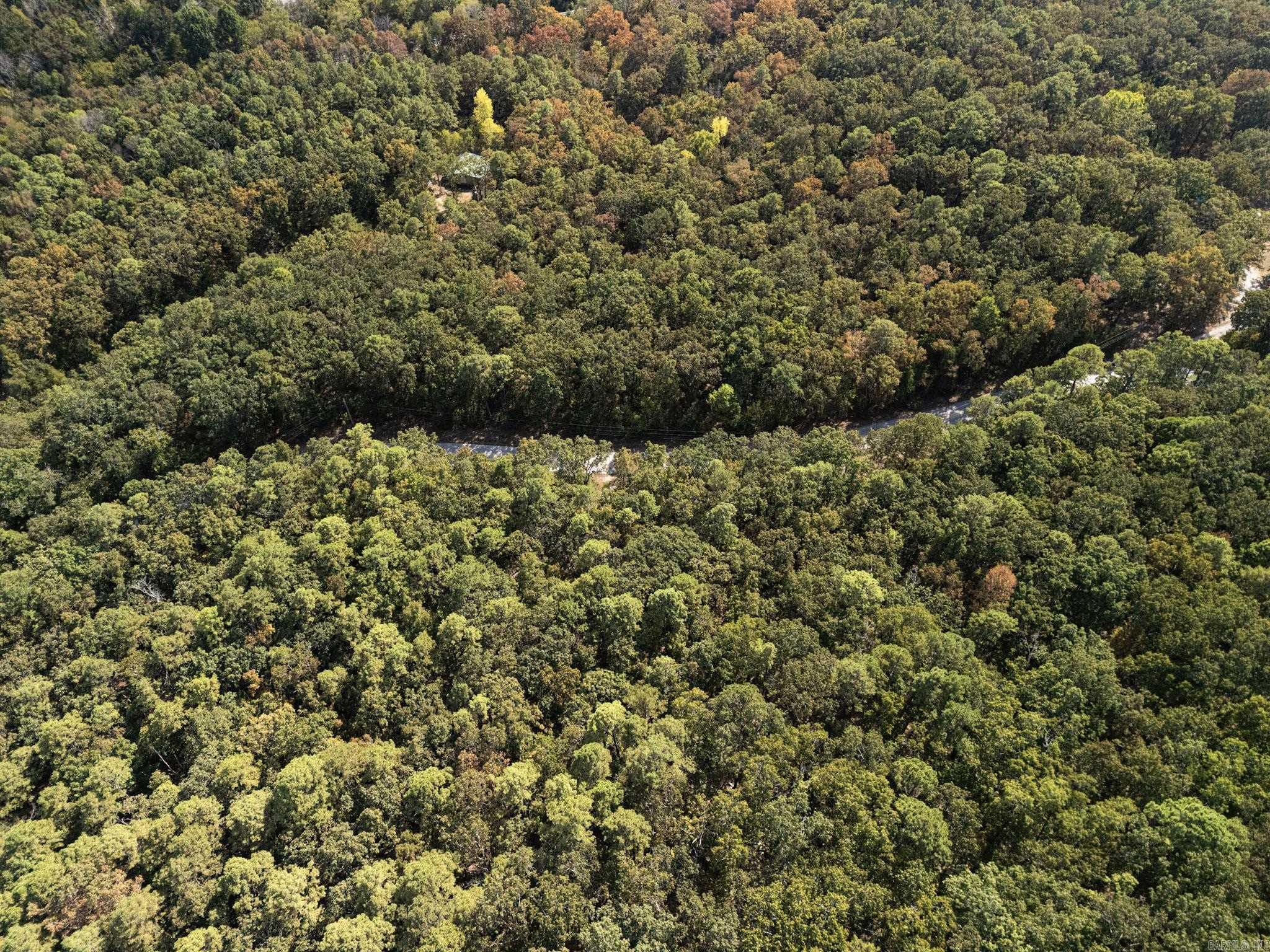 000 Dwelle Road  Norfork, AR
