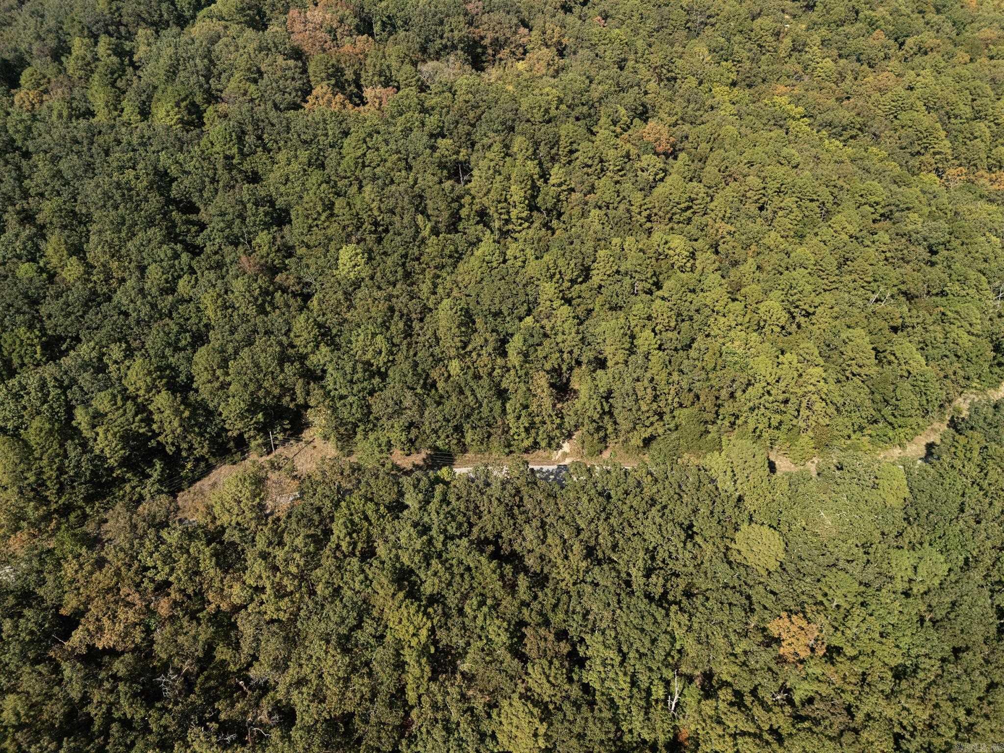 000 Dwelle Road  Norfork, AR