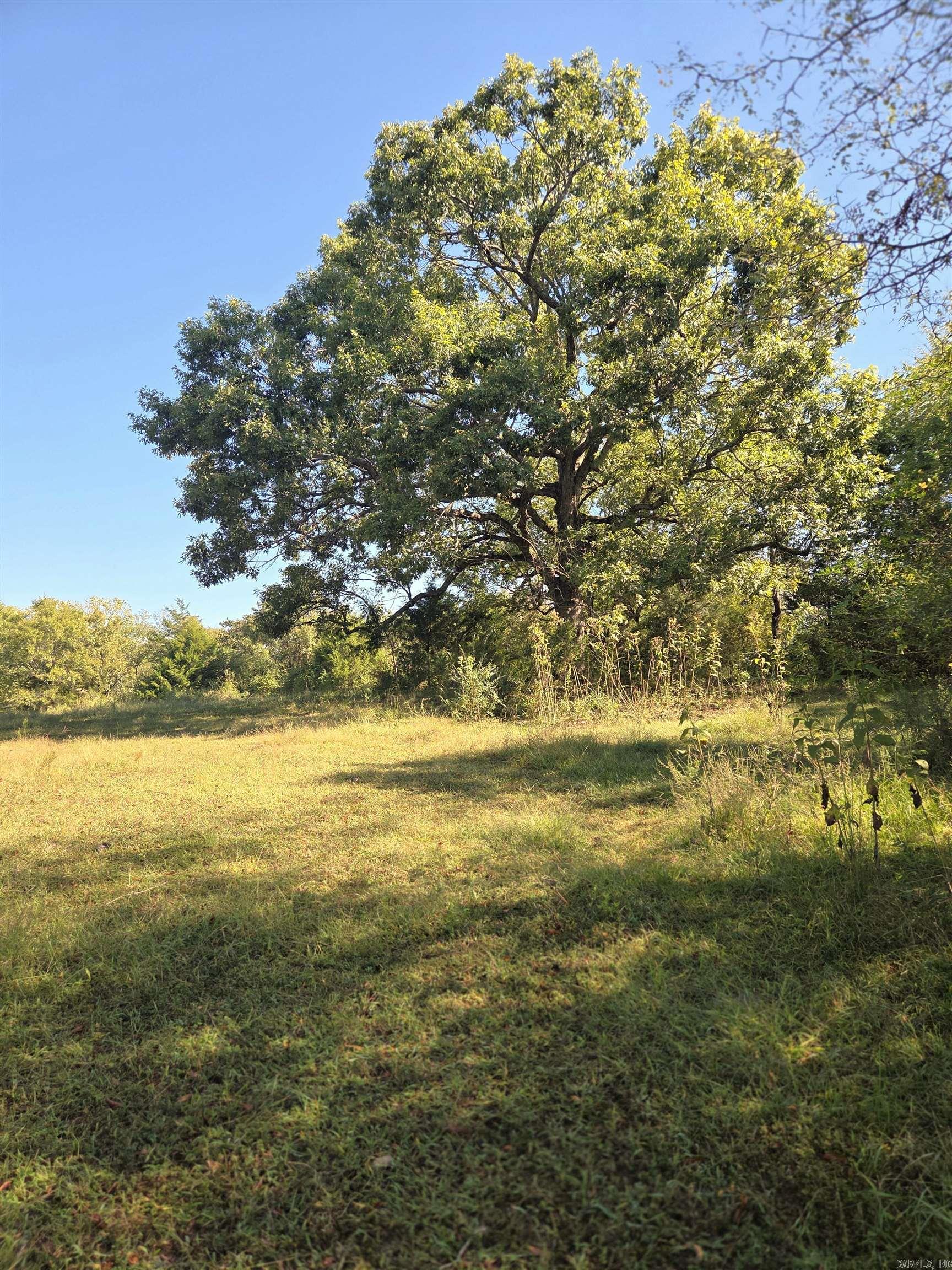 471 Polk Road 50  Mena, AR