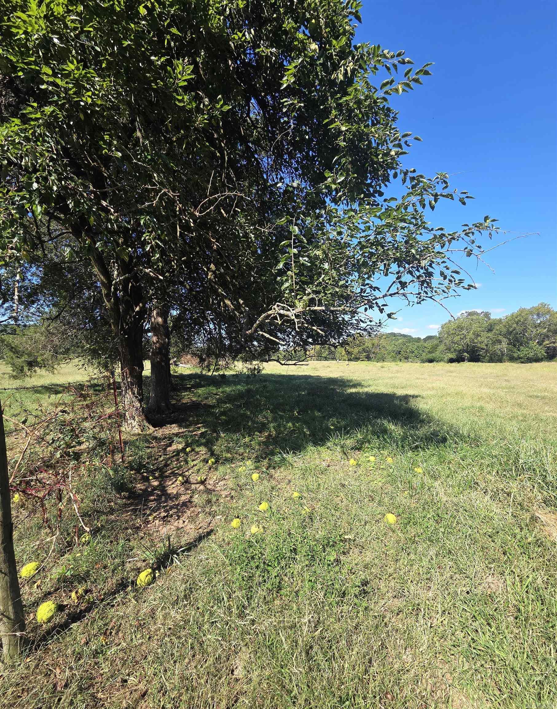 471 Polk Road 50  Mena, AR