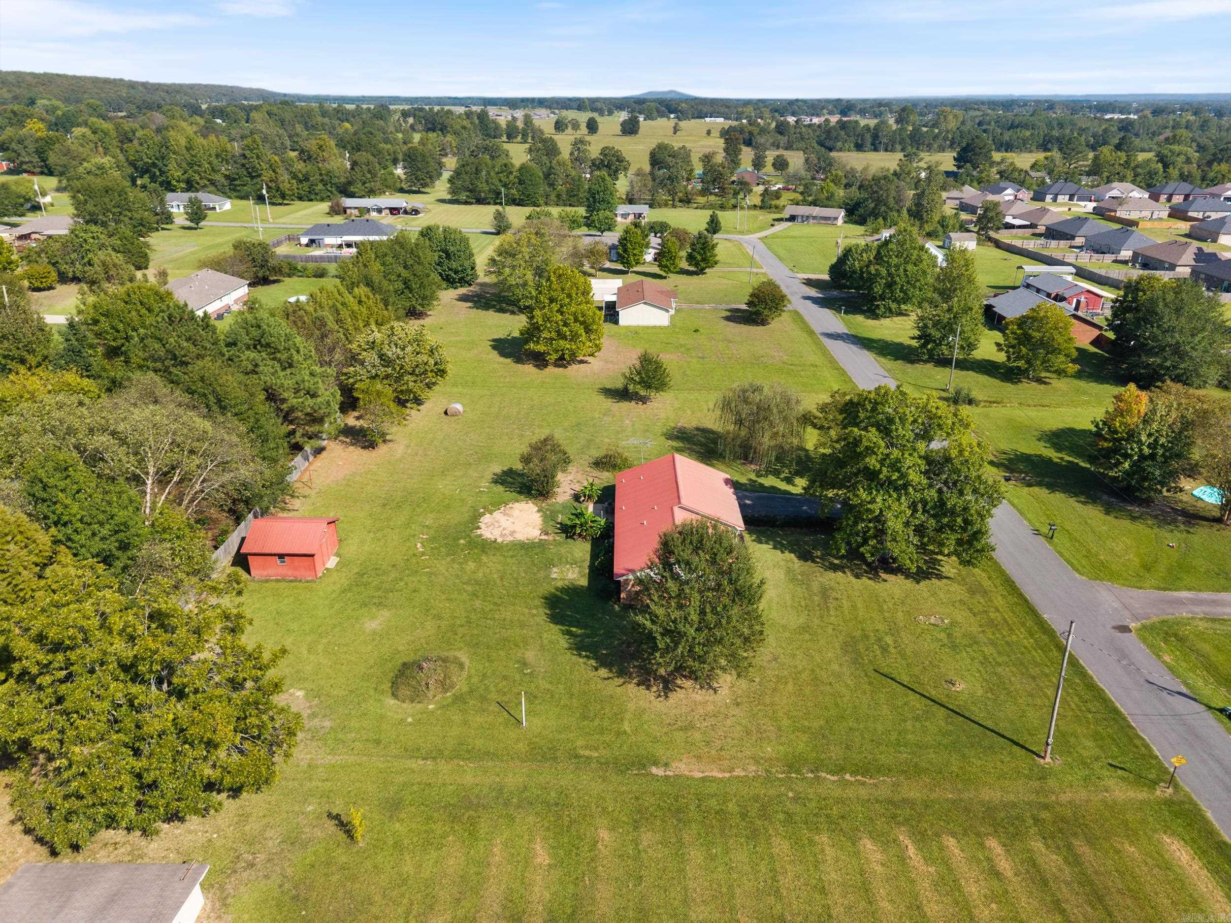 9 Bush  Vilonia, AR