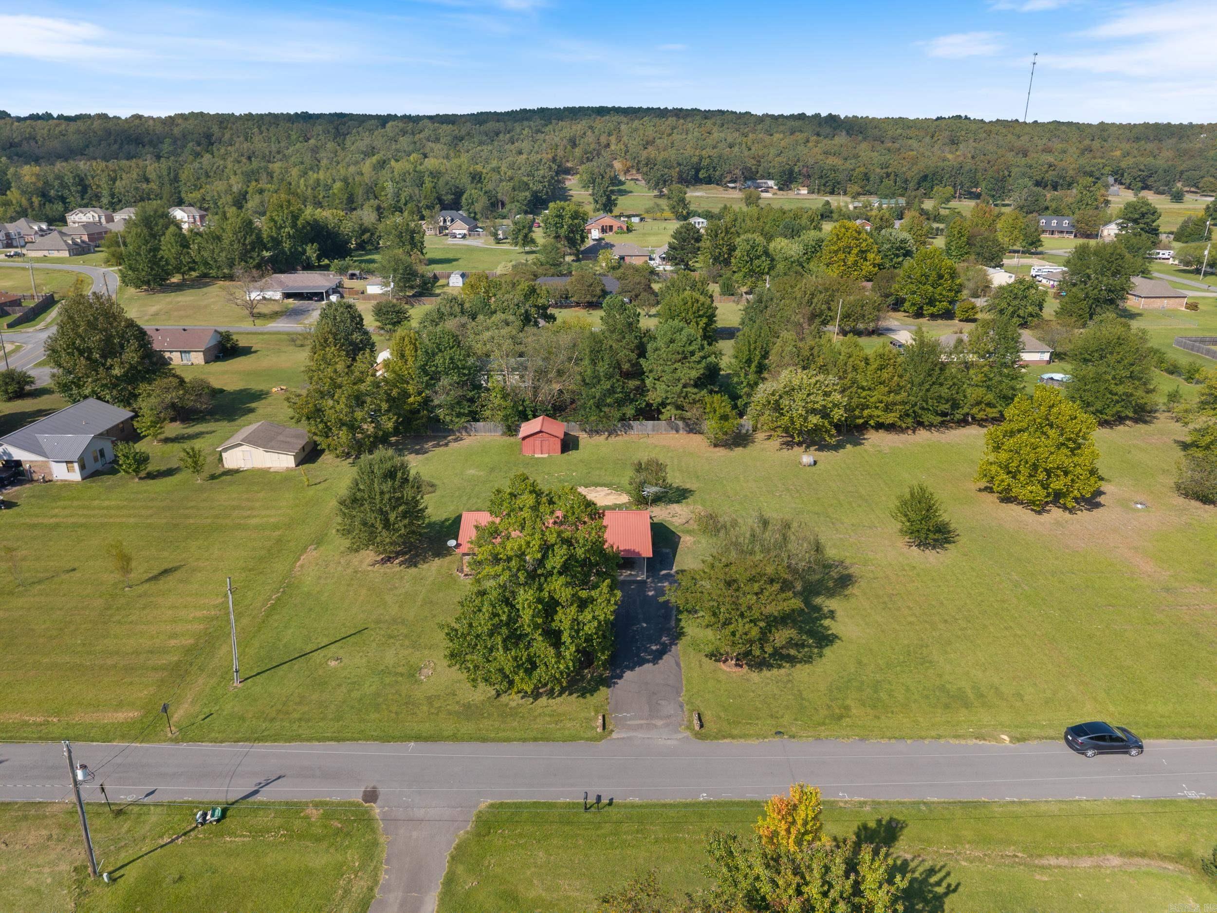 9 Bush  Vilonia, AR