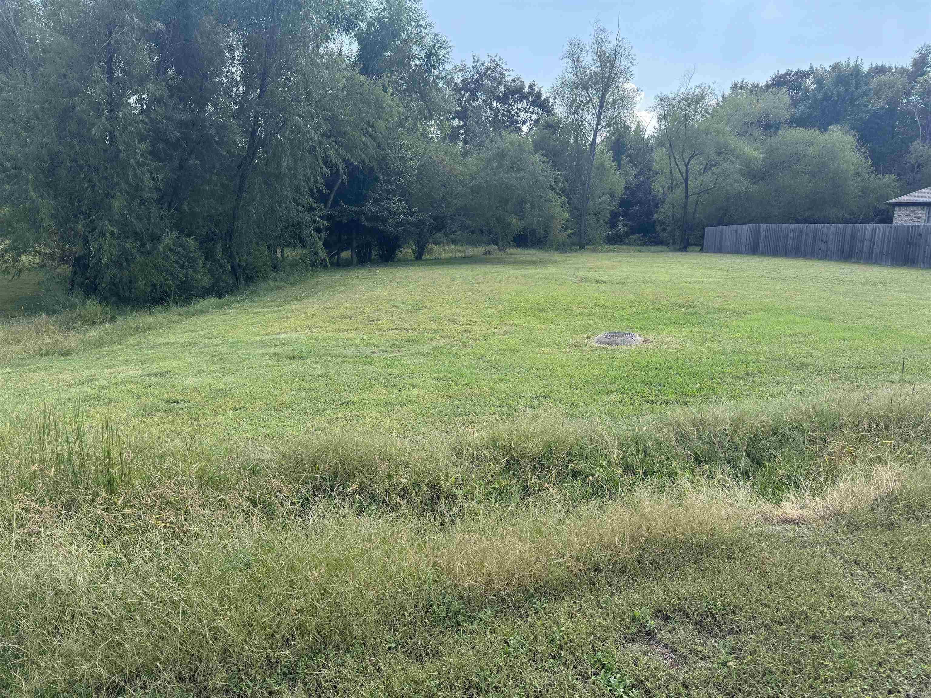 66 Eaglebrook  Conway, AR