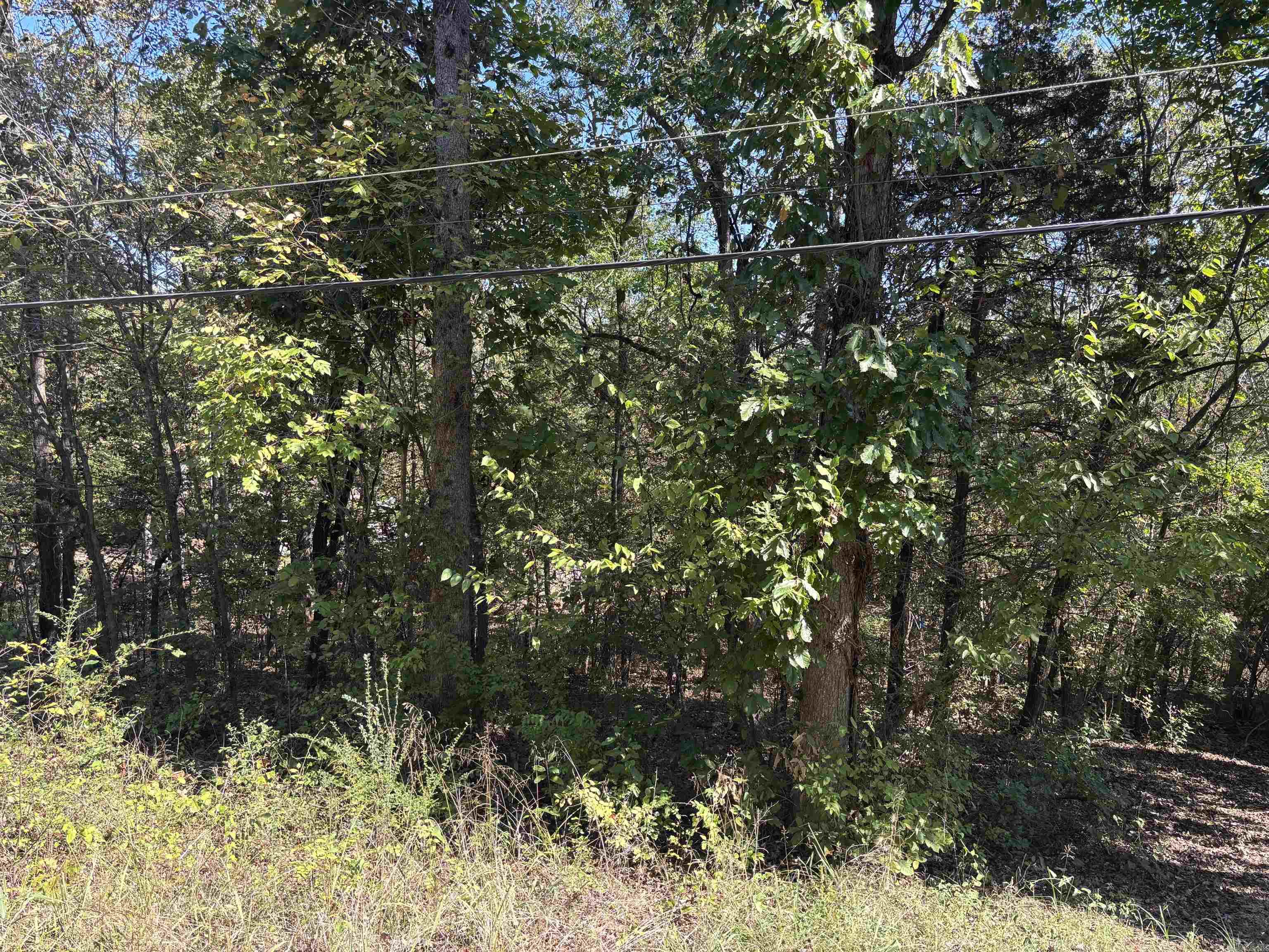 TBD W Lakeshore  Cherokee Village, AR