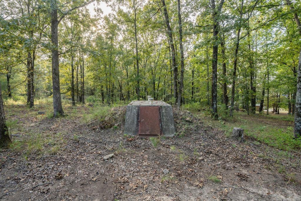199 Wallace  Tumbling Shoals, AR