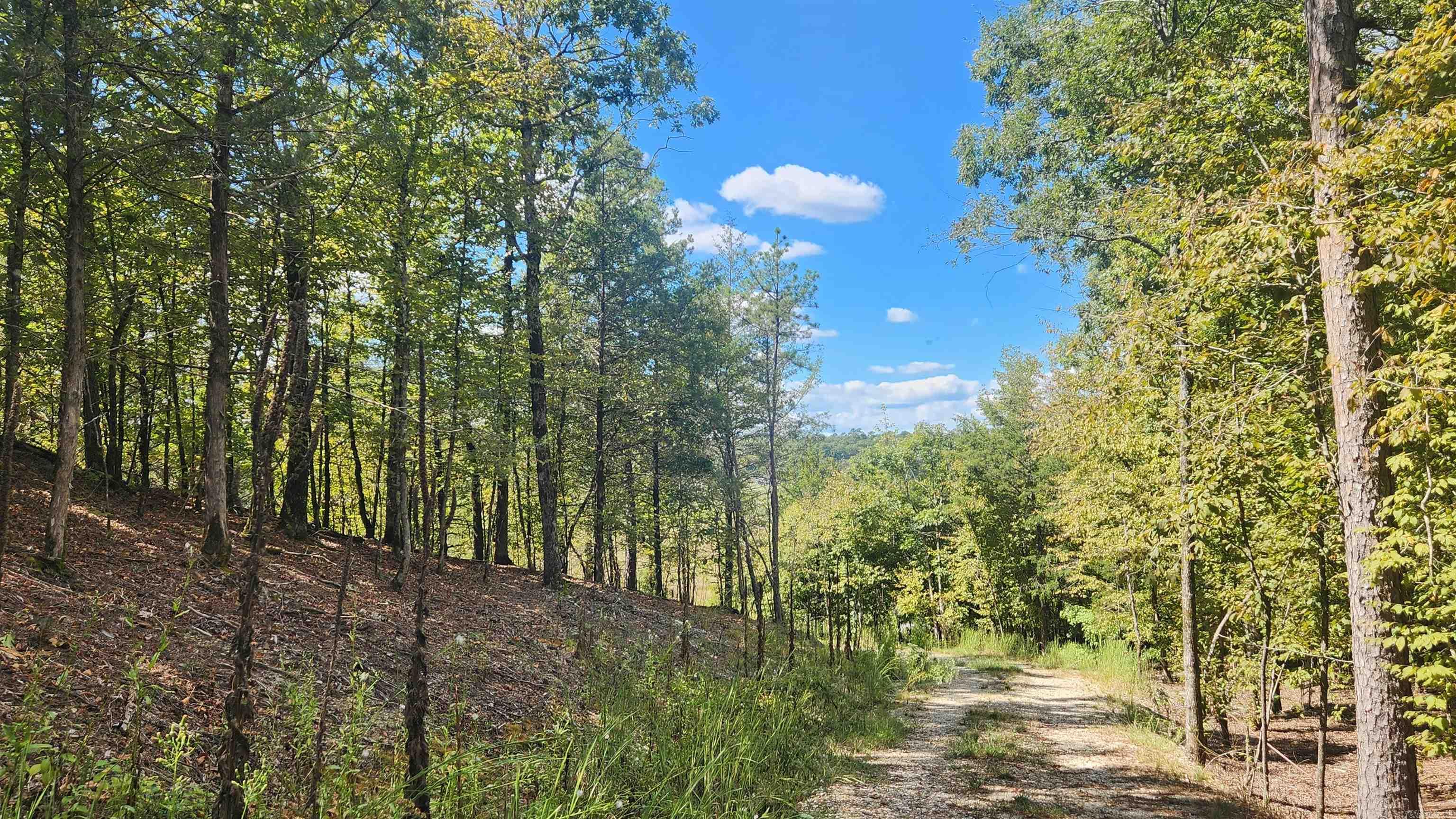 224 (Lot#15N) Reva's Way  Story, AR