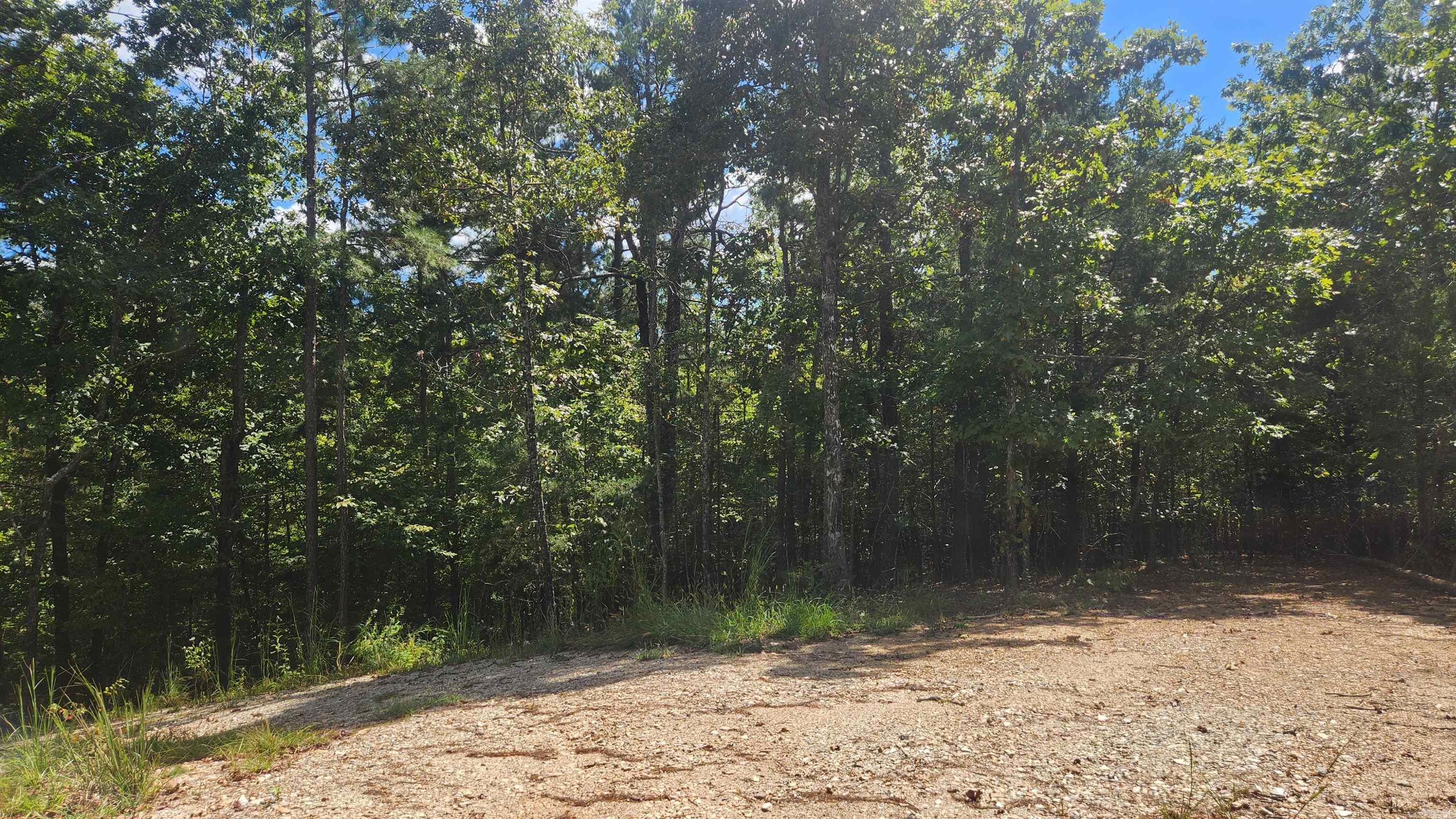 224 (Lot#15N) Reva's Way  Story, AR