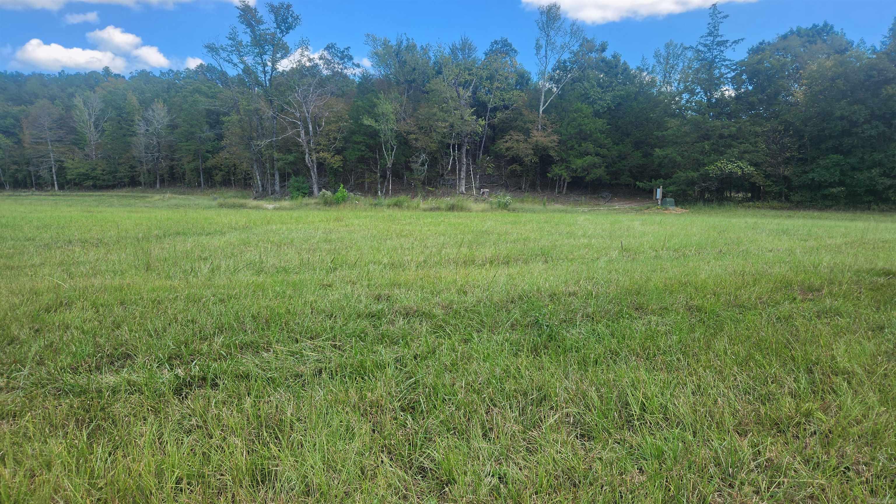 239 (Lot#14E) Reva's Way  Story, AR