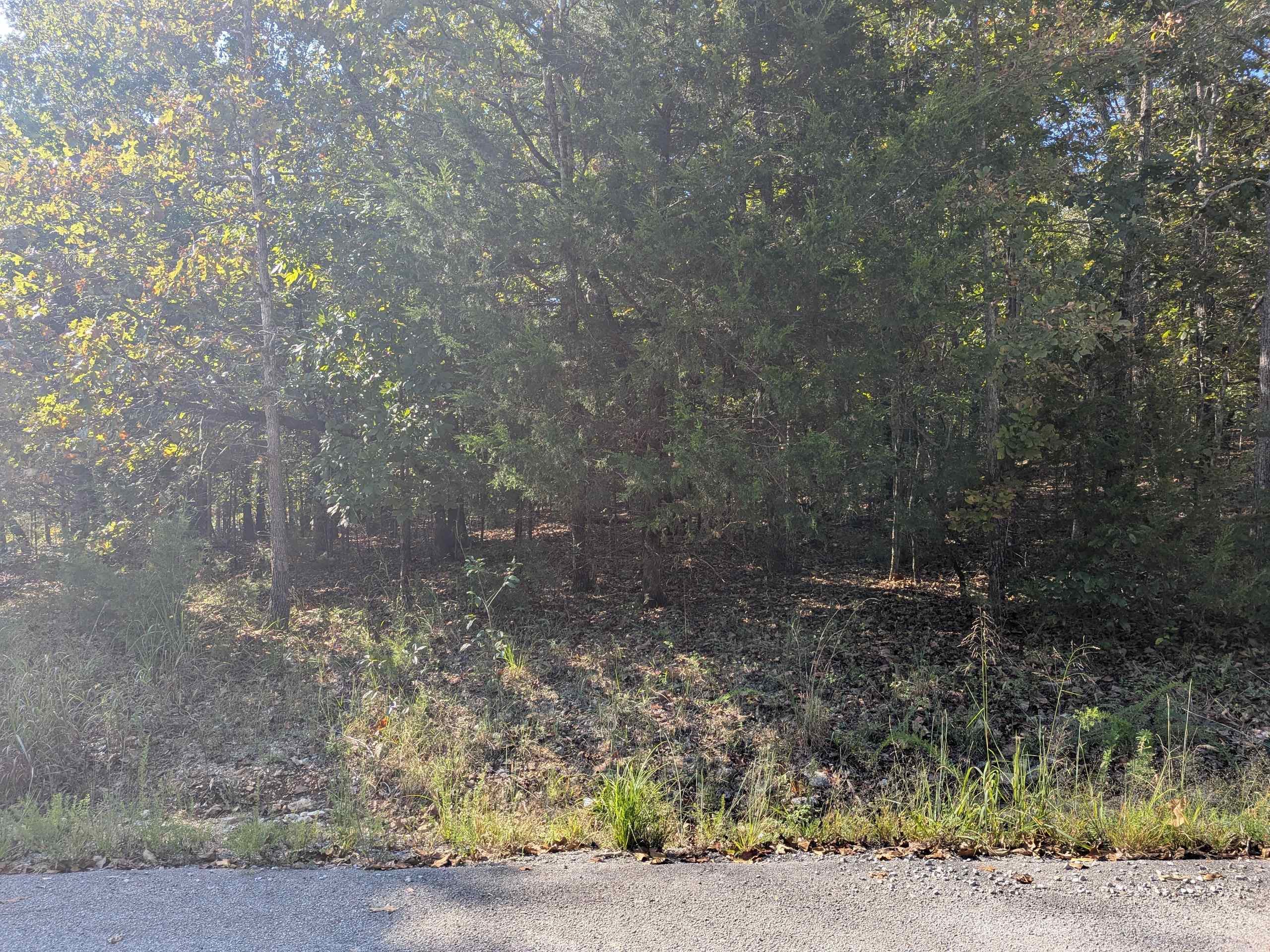 L20,21,22 B6 Lakota Trace  Cherokee Village, AR