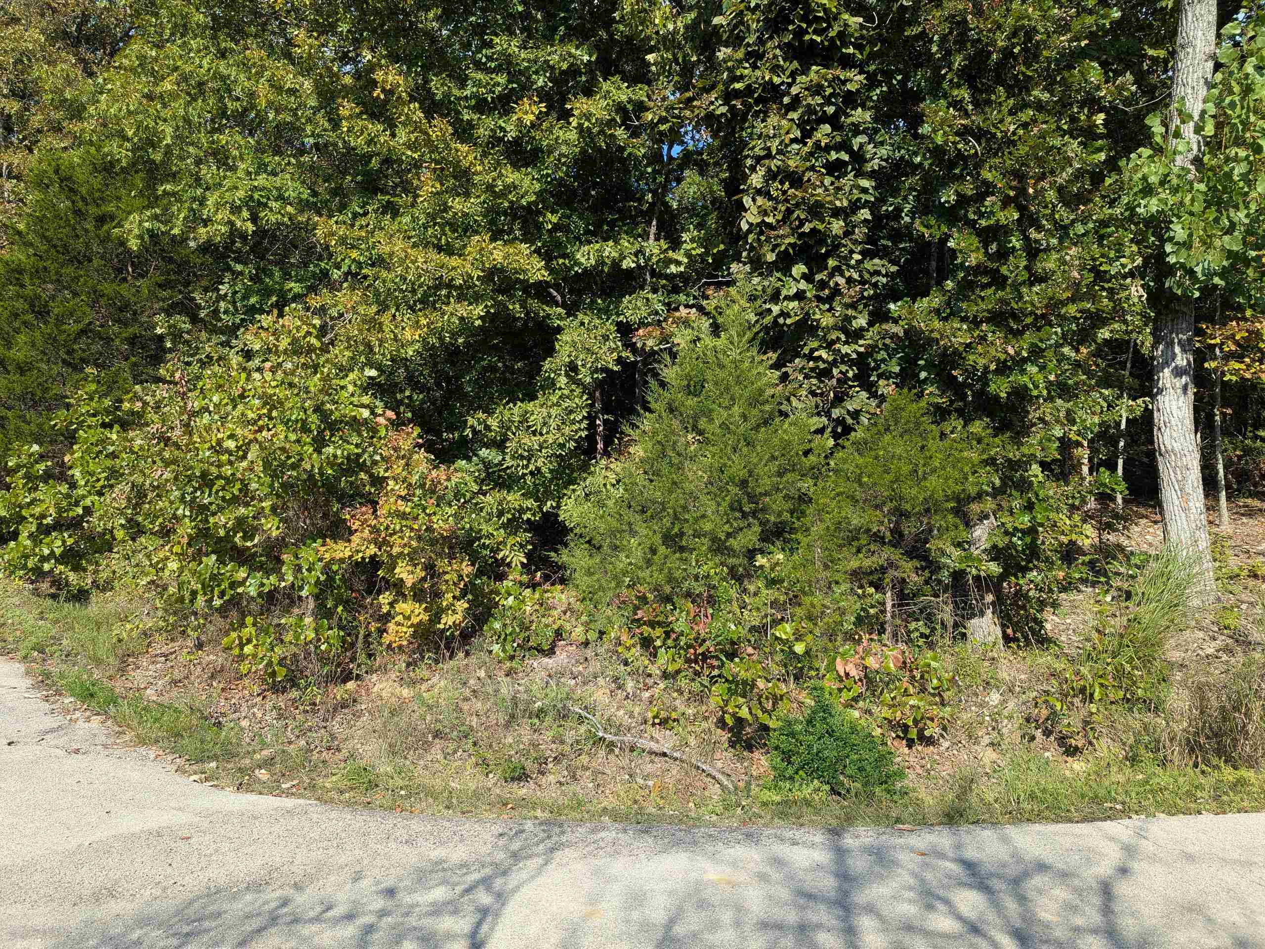 L20,21,22 B6 Lakota Trace  Cherokee Village, AR