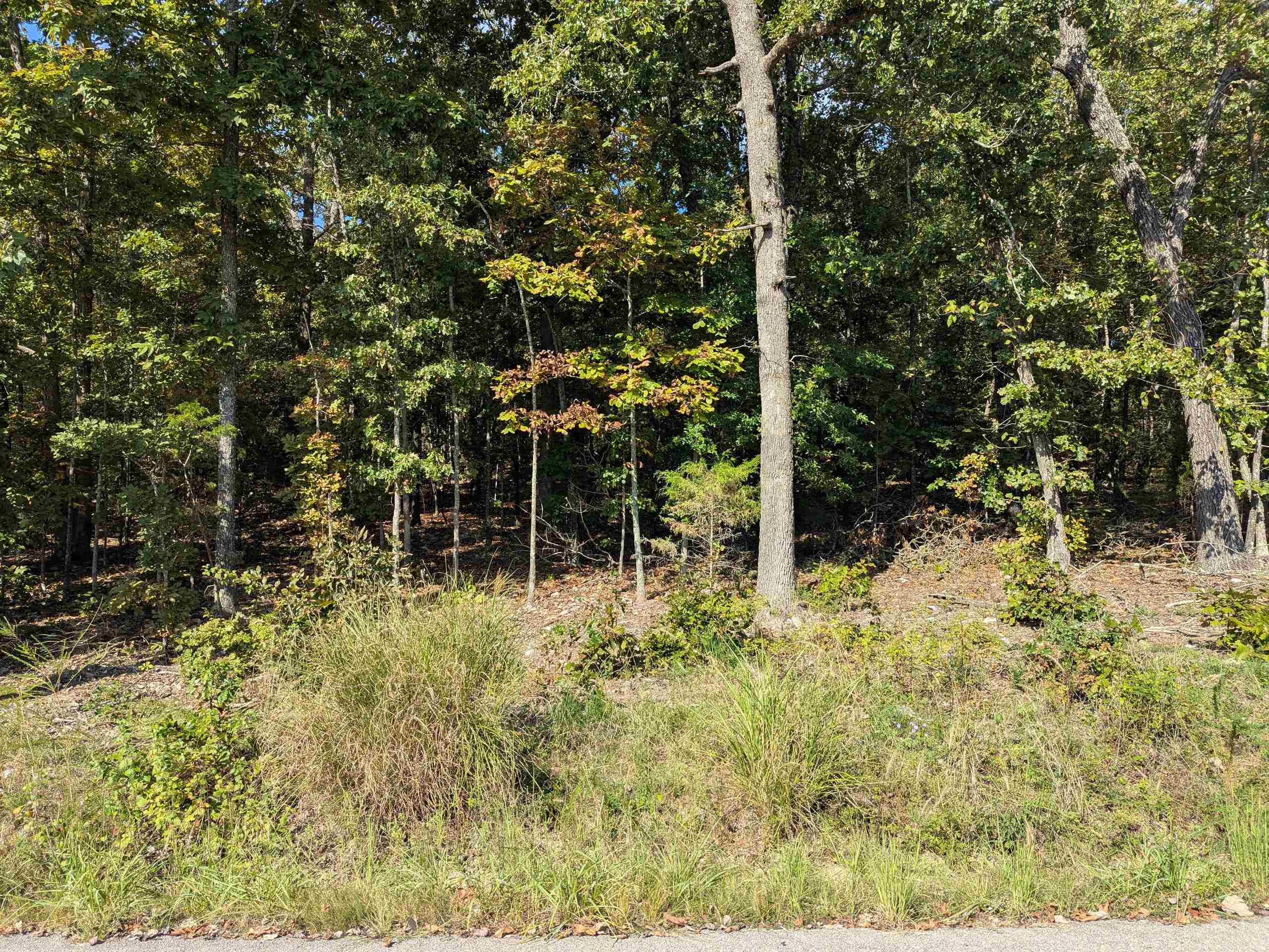 L20,21,22 B6 Lakota Trace  Cherokee Village, AR