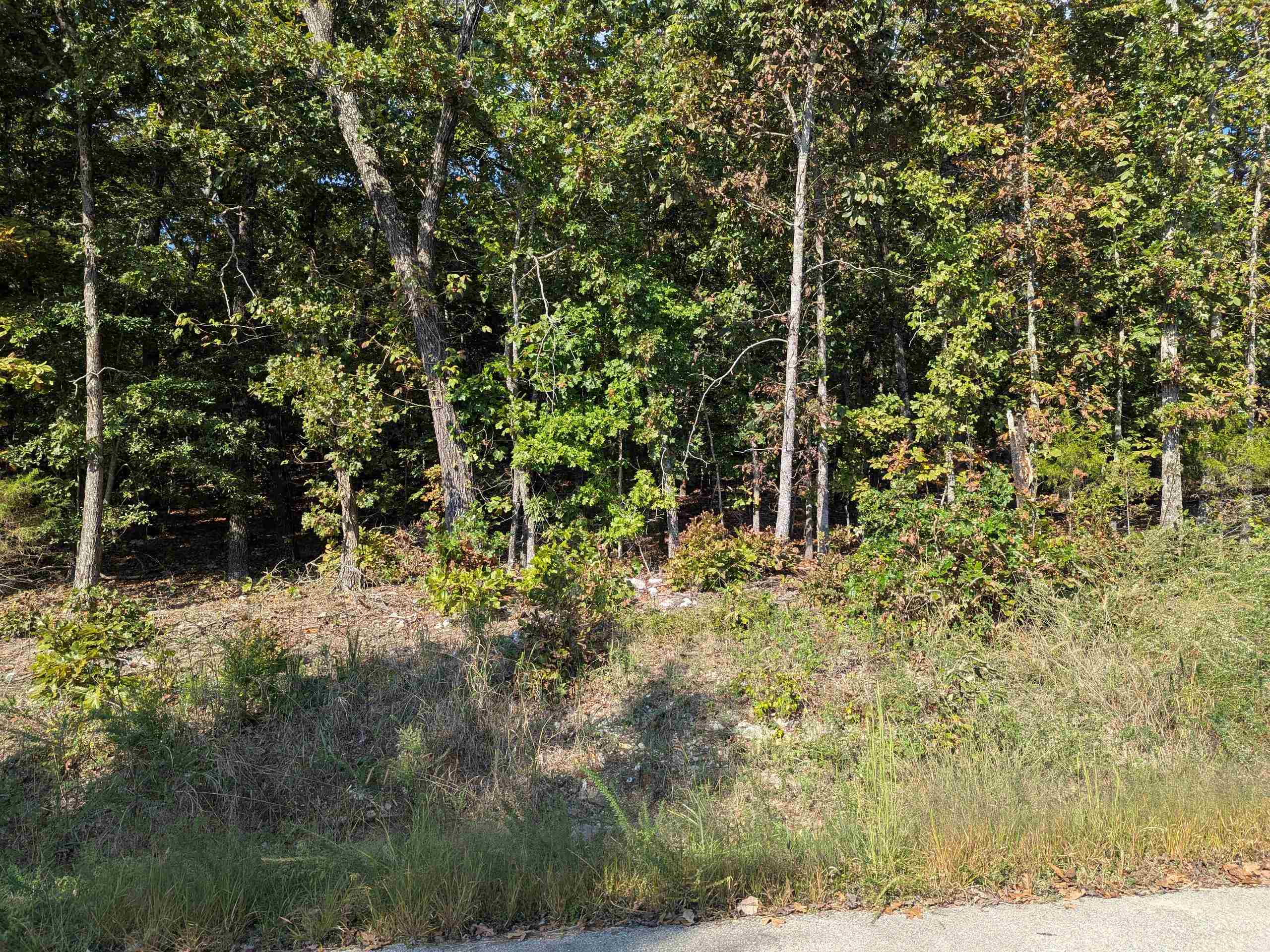 L20,21,22 B6 Lakota Trace  Cherokee Village, AR