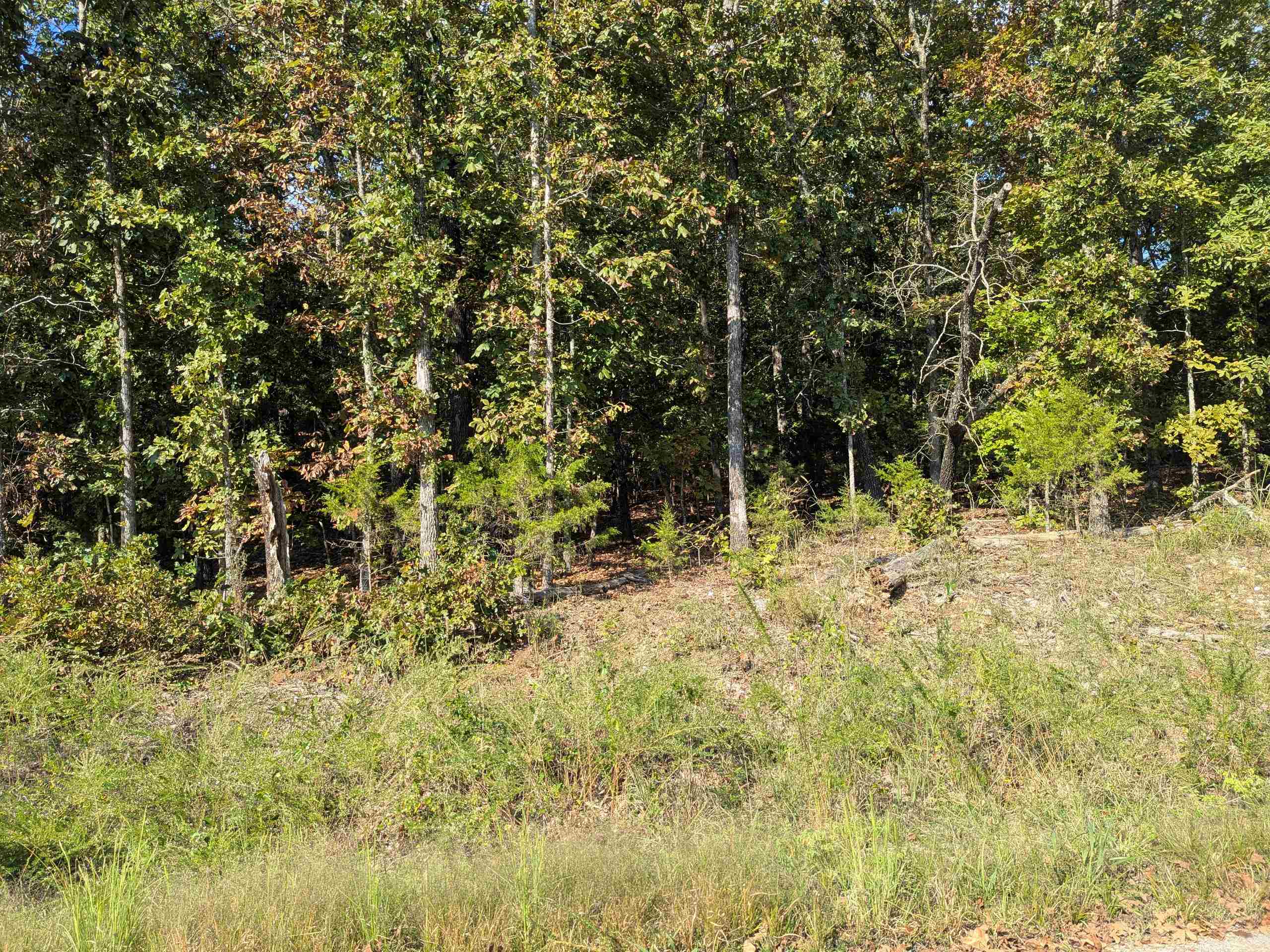 L20,21,22 B6 Lakota Trace  Cherokee Village, AR