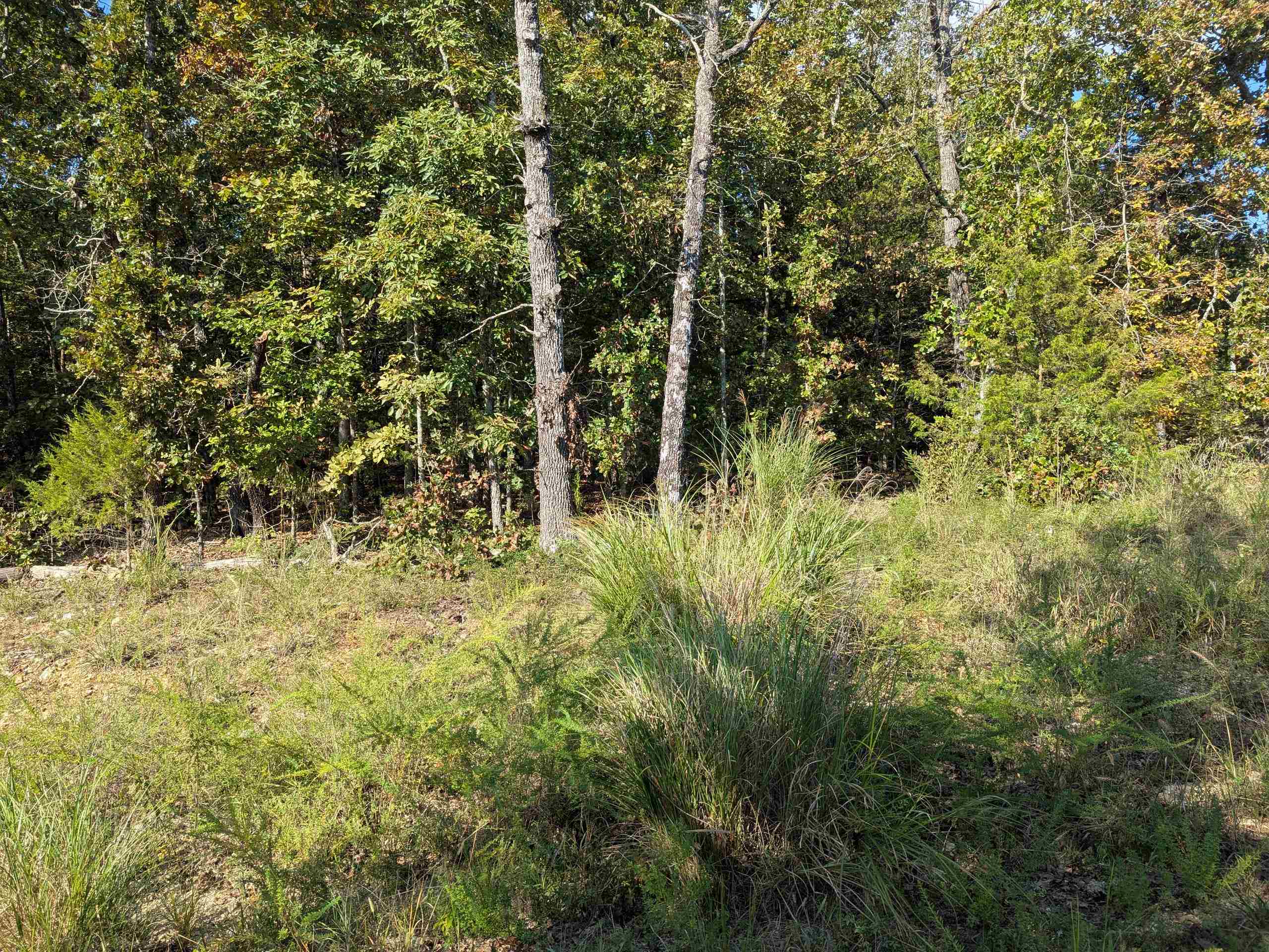 L20,21,22 B6 Lakota  Cherokee Village, AR