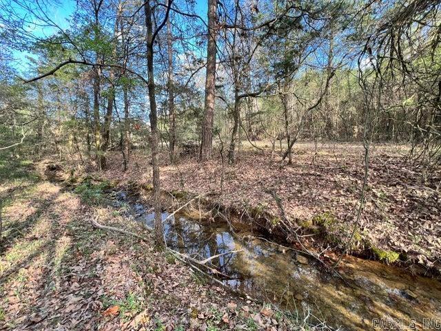 1174 County Road 3335  Clarksville, AR